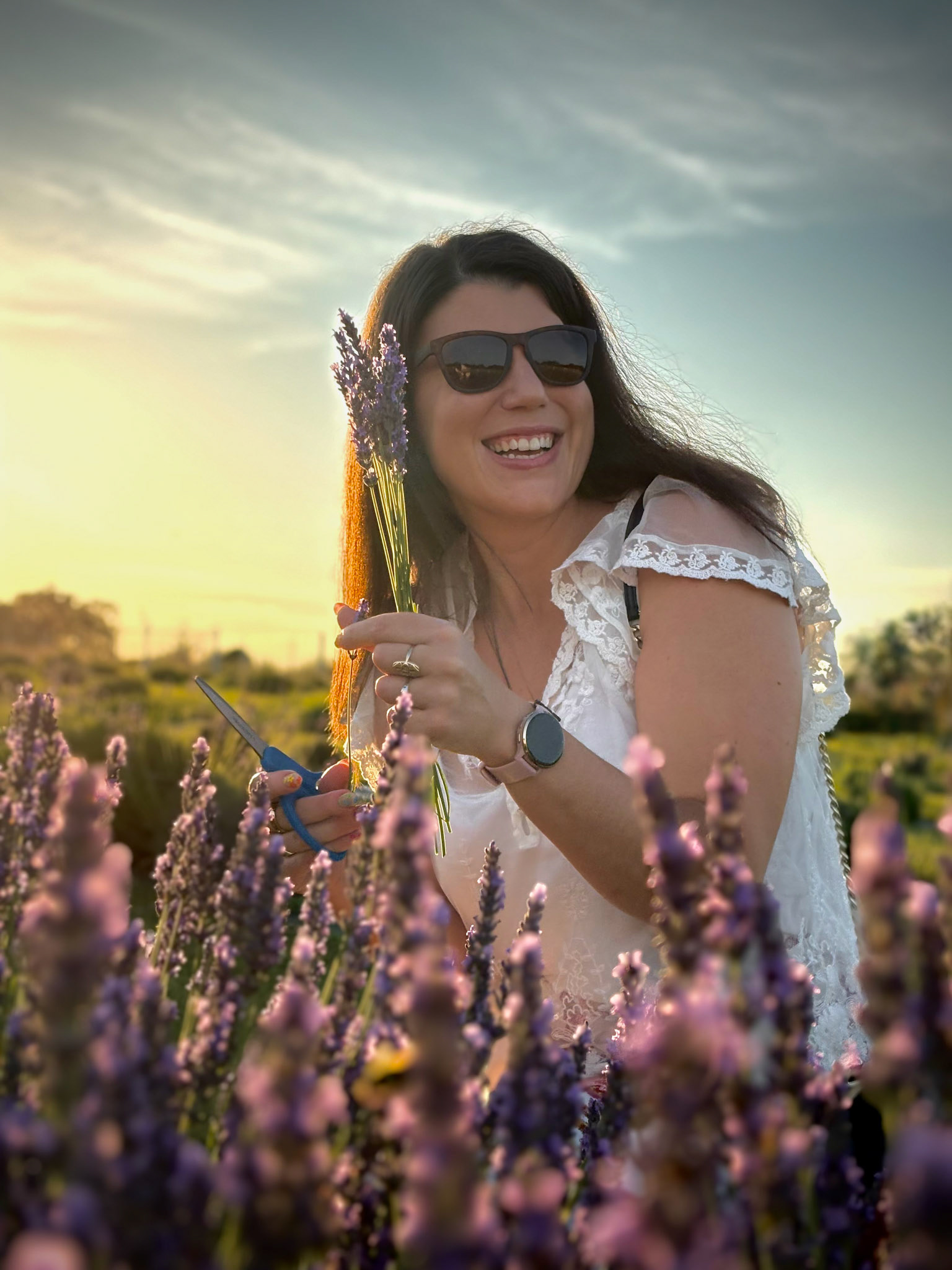 Lavender Dreams