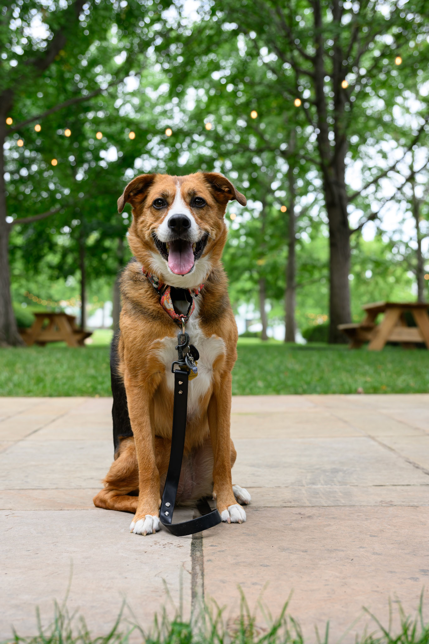 Callie at the Nelson-Atkins