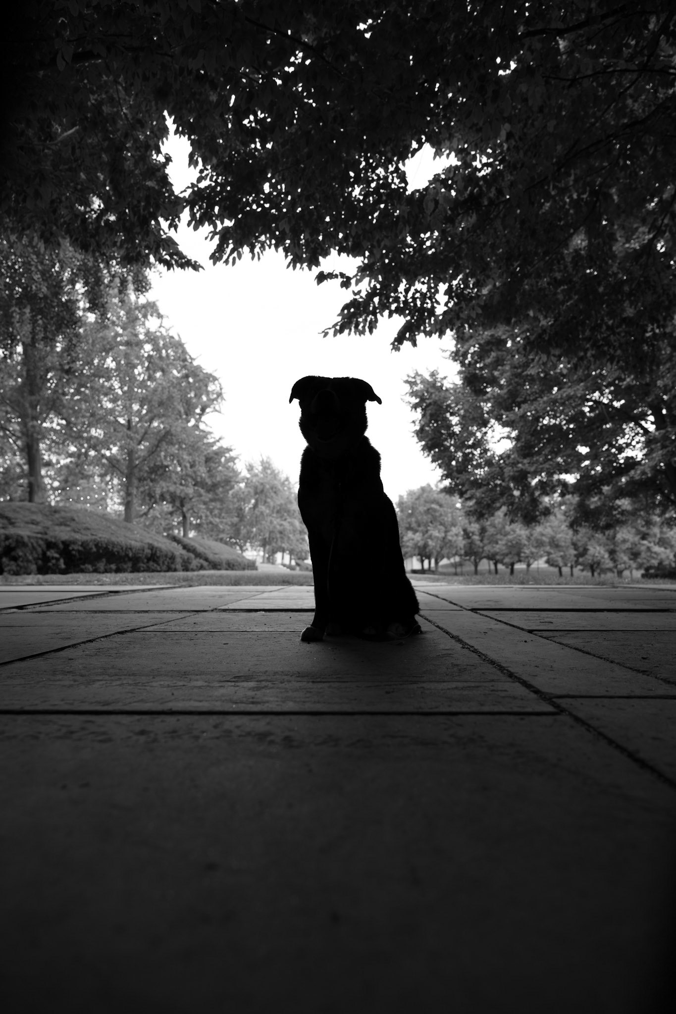 Callie at the Nelson-Atkins