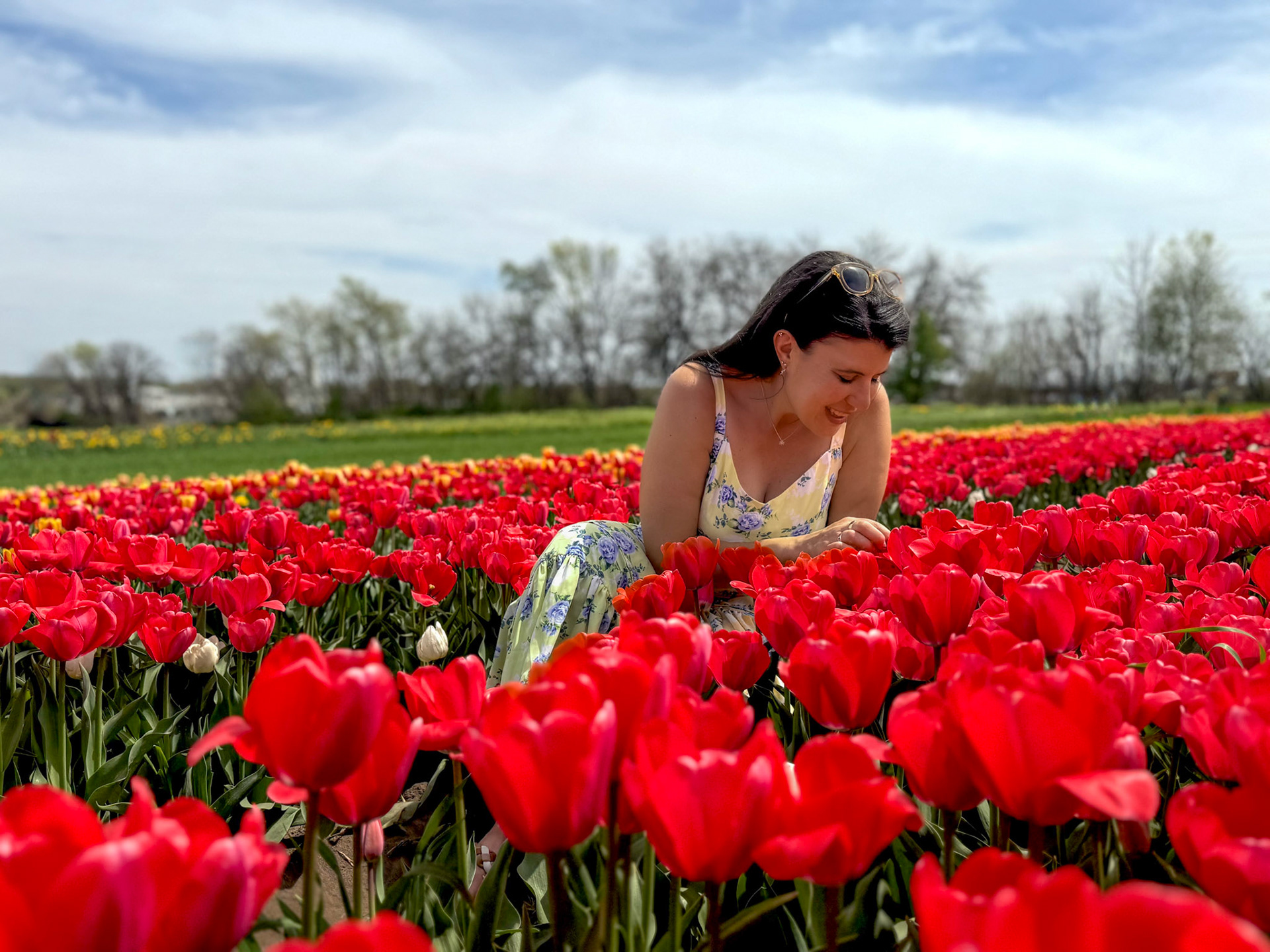 The Fun Farm Tulip Festival