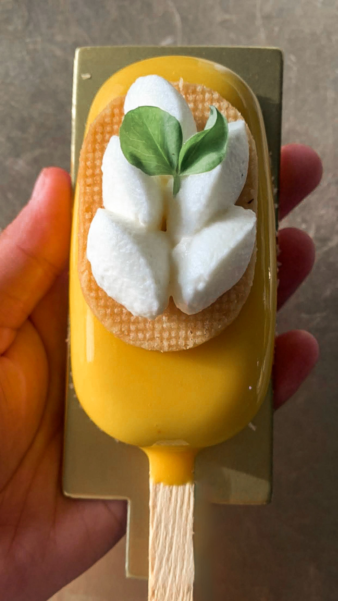 Pistachio Pain De Gene |  Mango Mousse | Creme Chantilly | Vanilla Sable