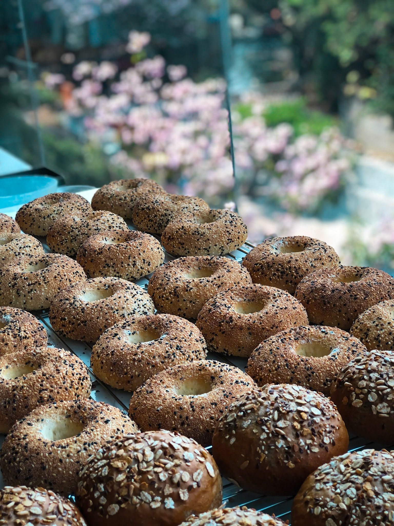Sesame & Poppy Seed Bagel