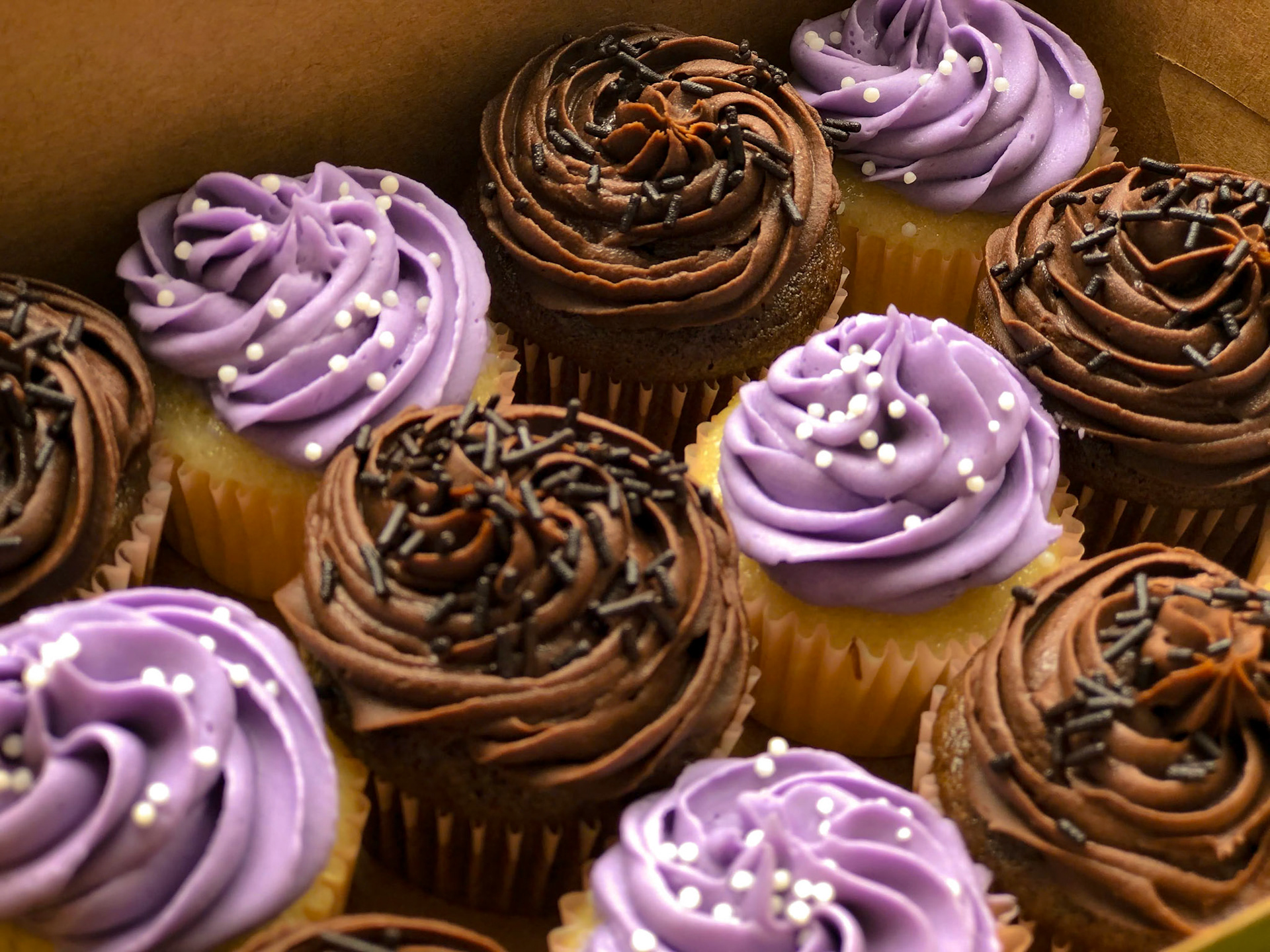 Blueberry | Chocolate