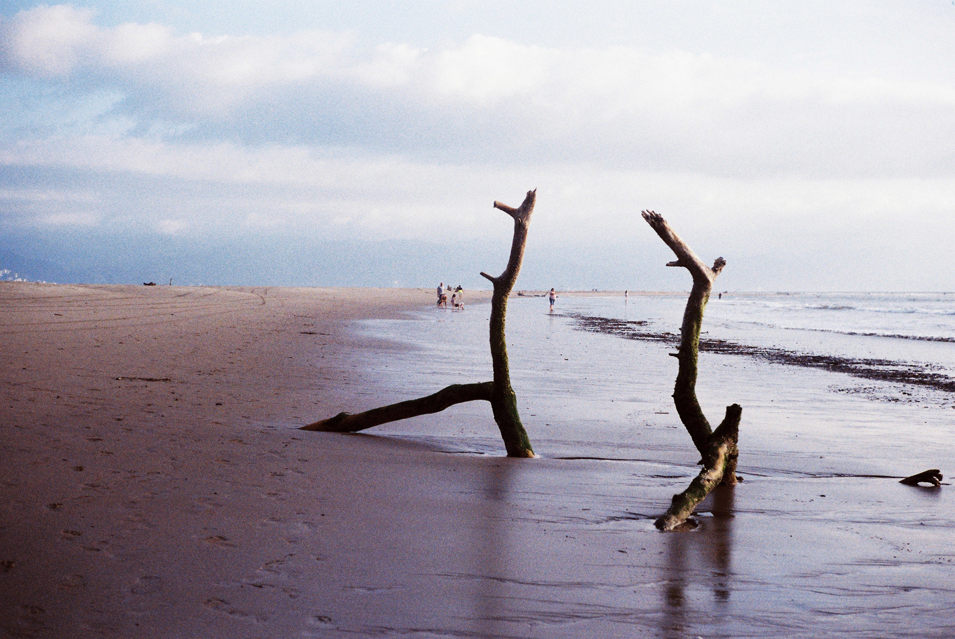 Nuevo Vallarta, Nayarit, México.