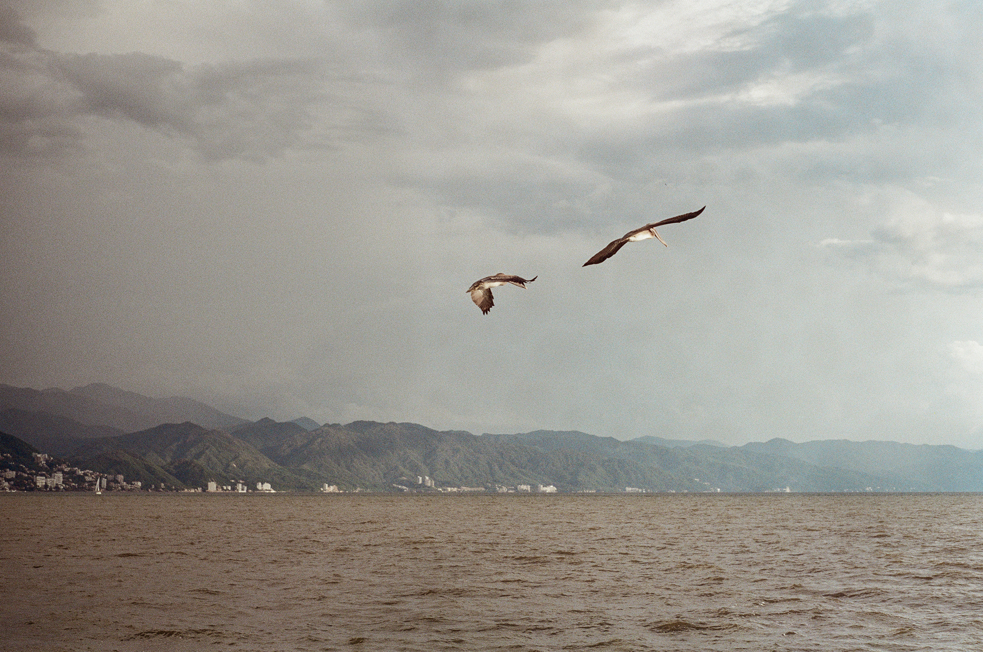 Vallarta, Jalisco, México.