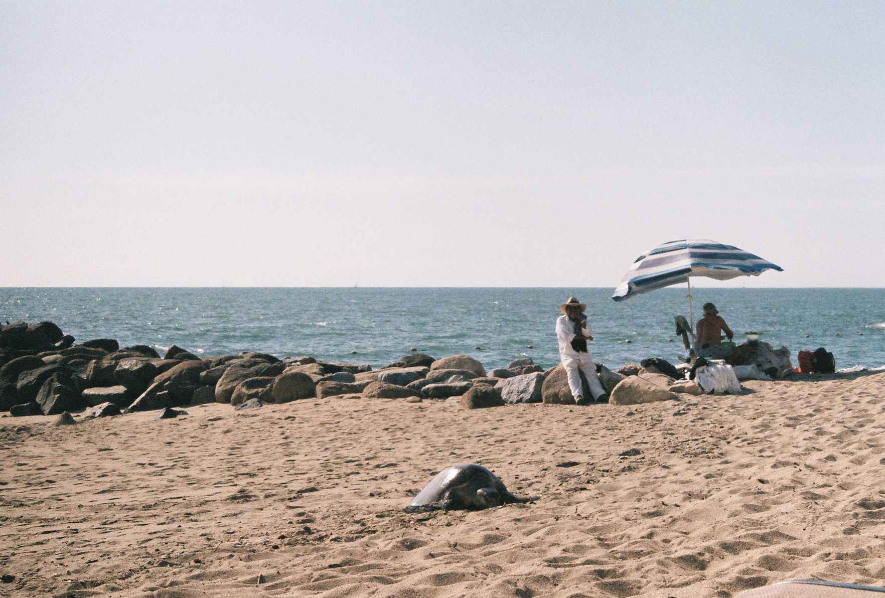 Vallarta, Jalisco, México.