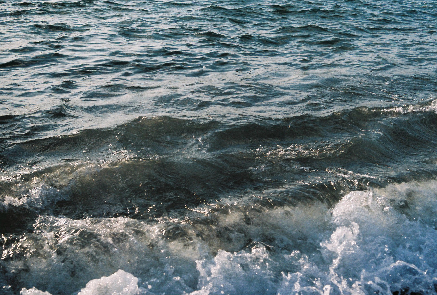 Vallarta, Jalisco, México.