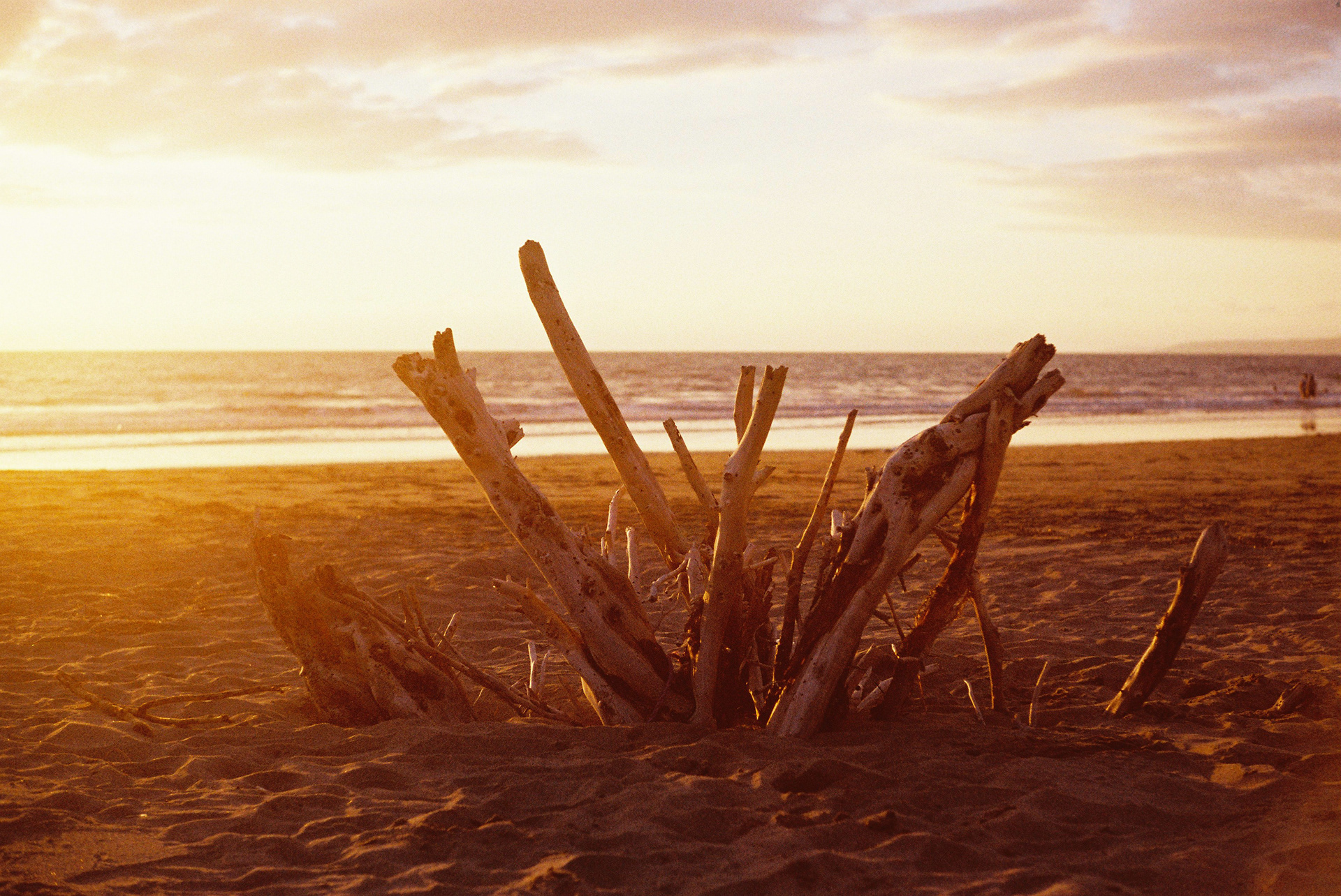 Nuevo Vallarta, Nayarit, México.