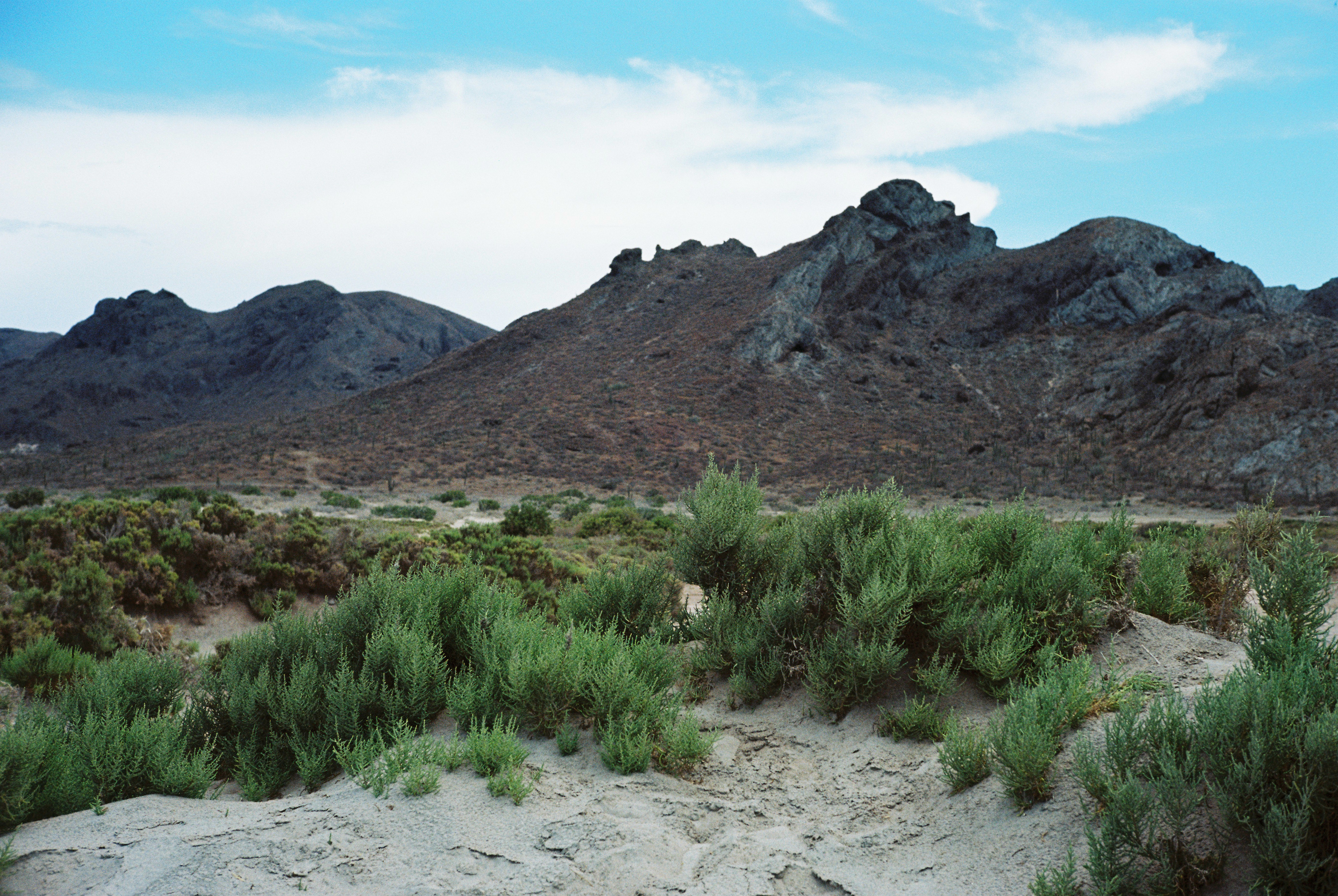 La Paz, Baja California Sur, México.
