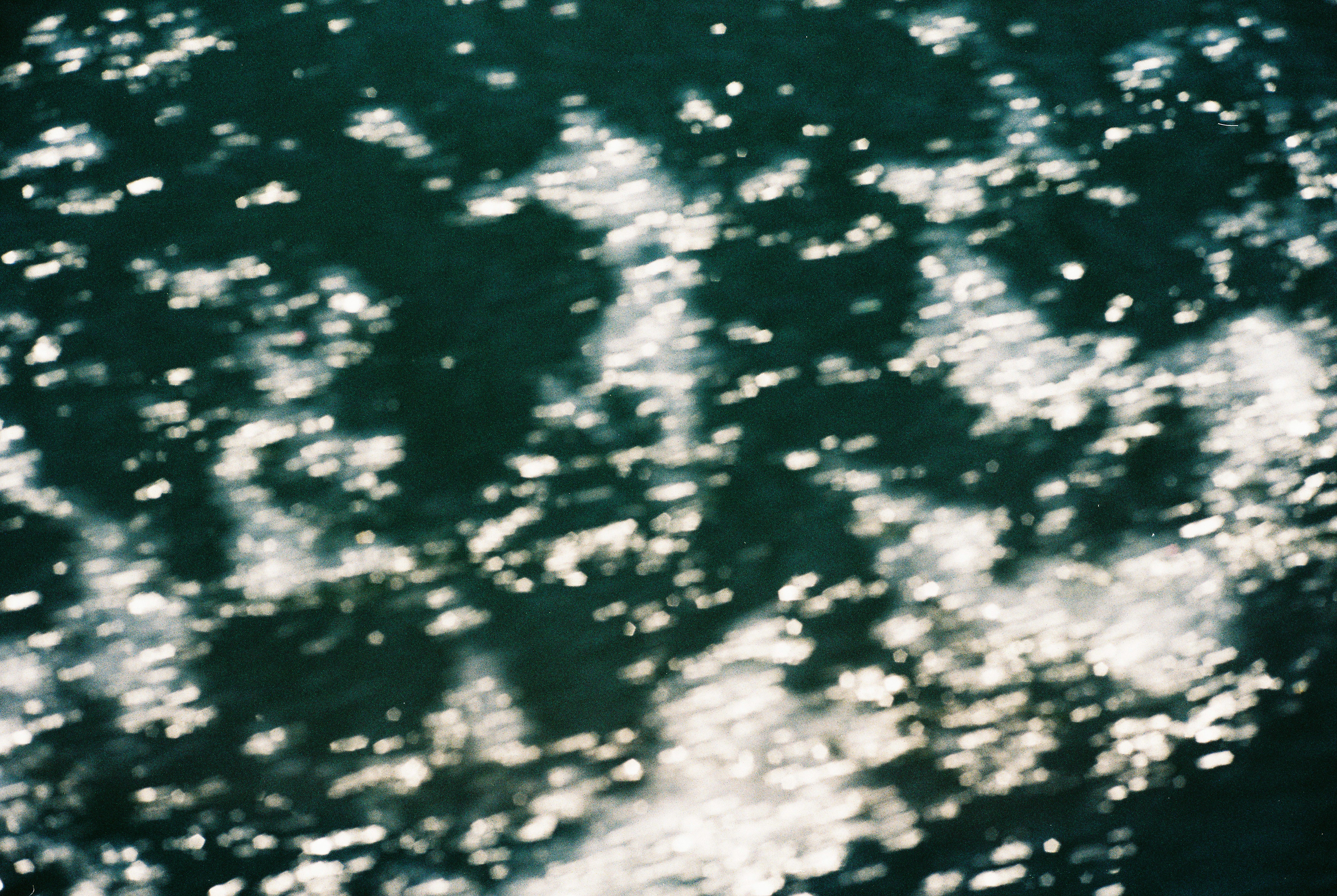 Tomatlán, Jalisco, México.