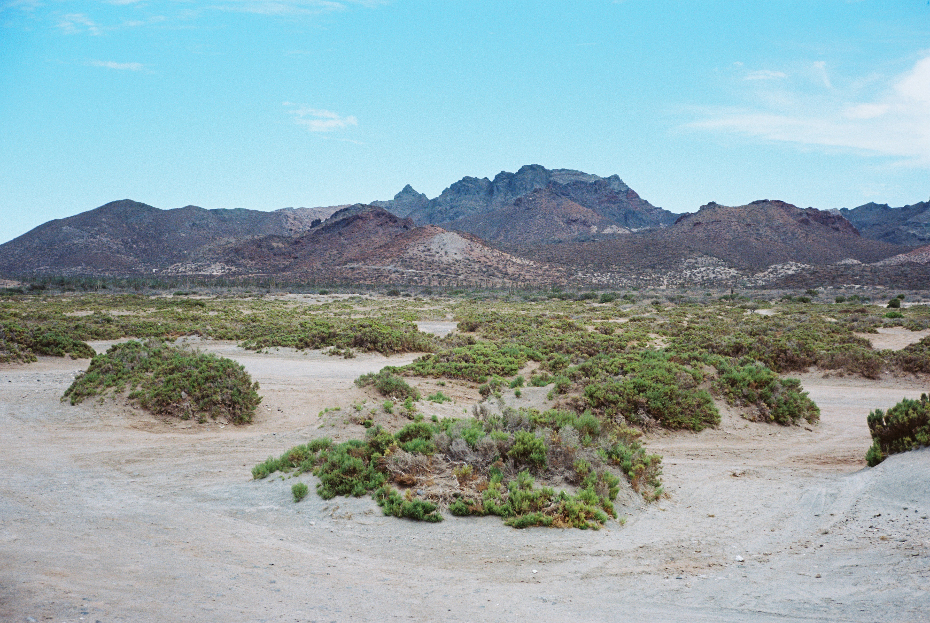La Paz, Baja California Sur, México.