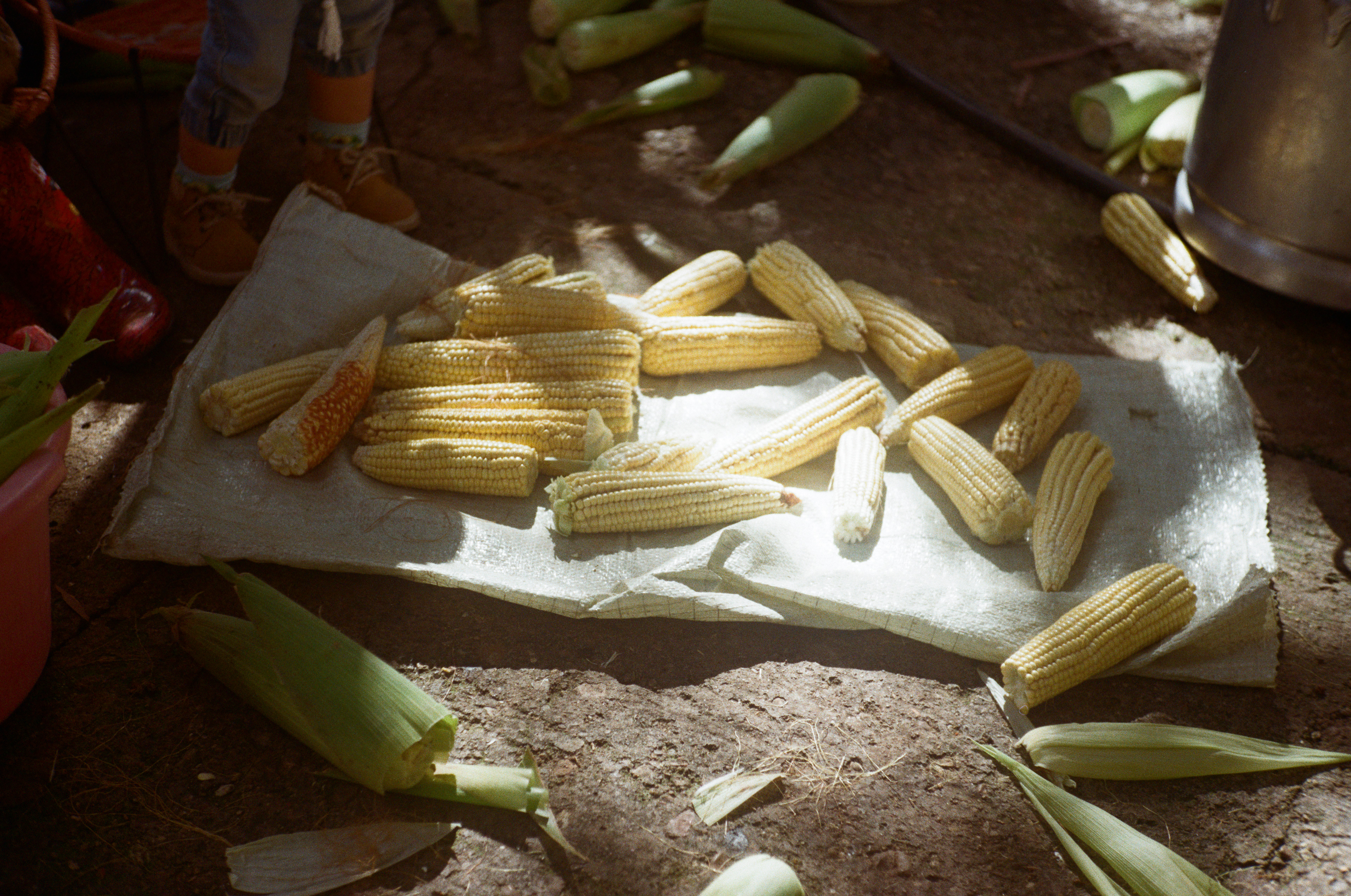 Rancho de mi abuelo.