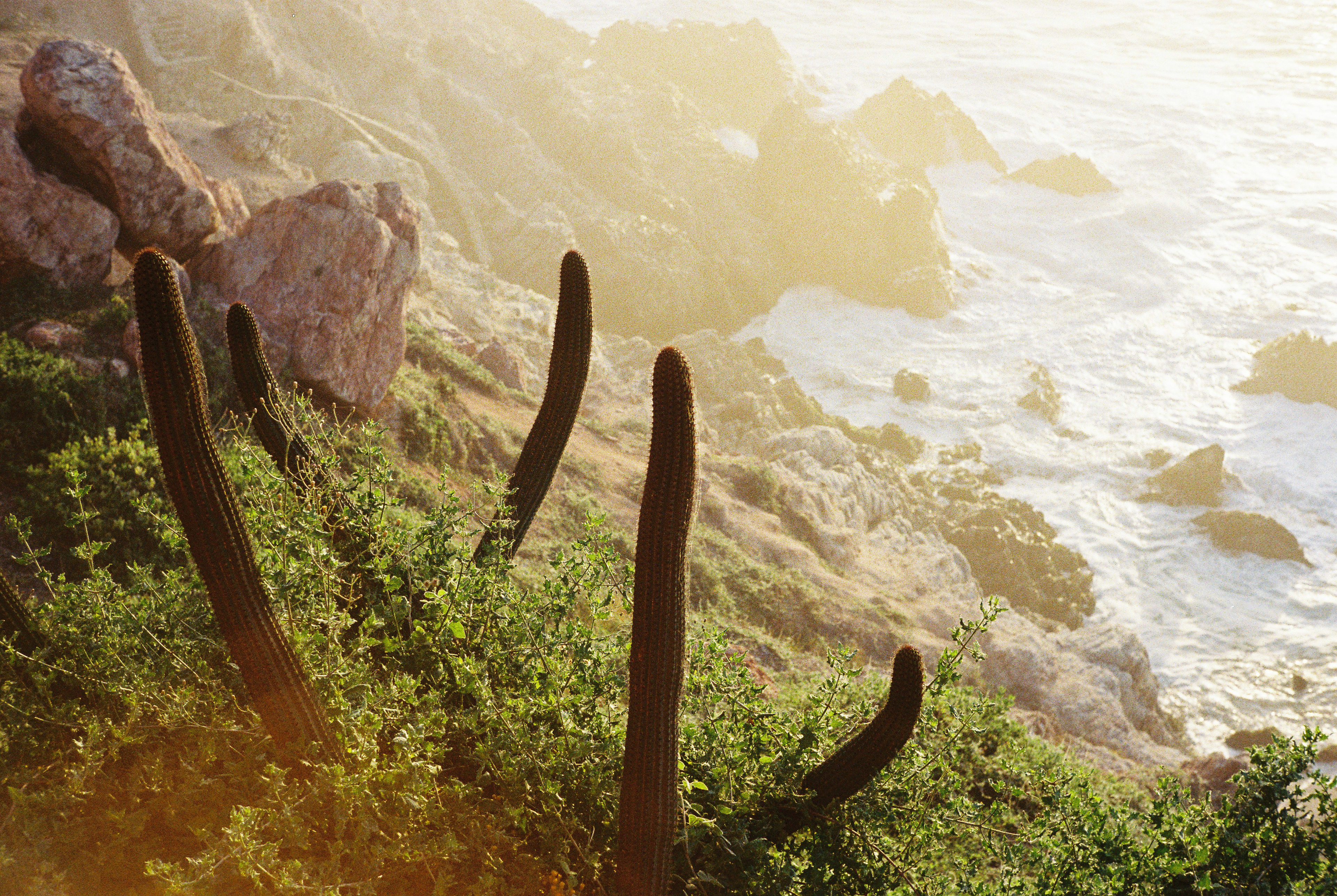 San José del Cabo, Baja California Sur, México.