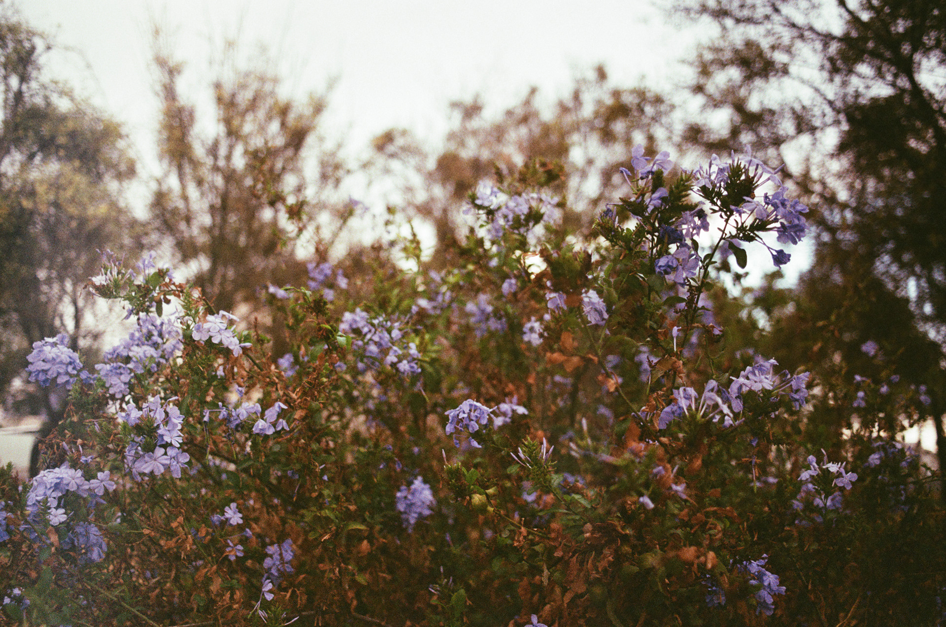 Capilla de Guadalupe, Jalisco, México.