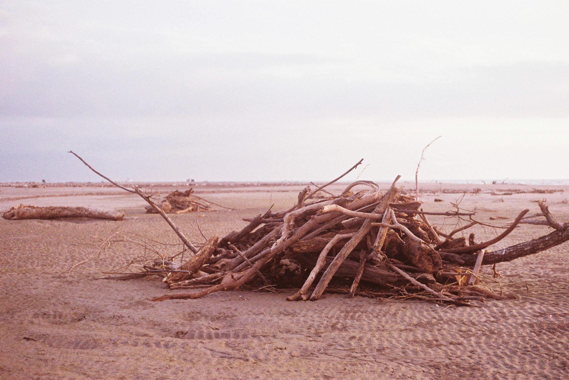 Nuevo Vallarta, Nayarit, México.