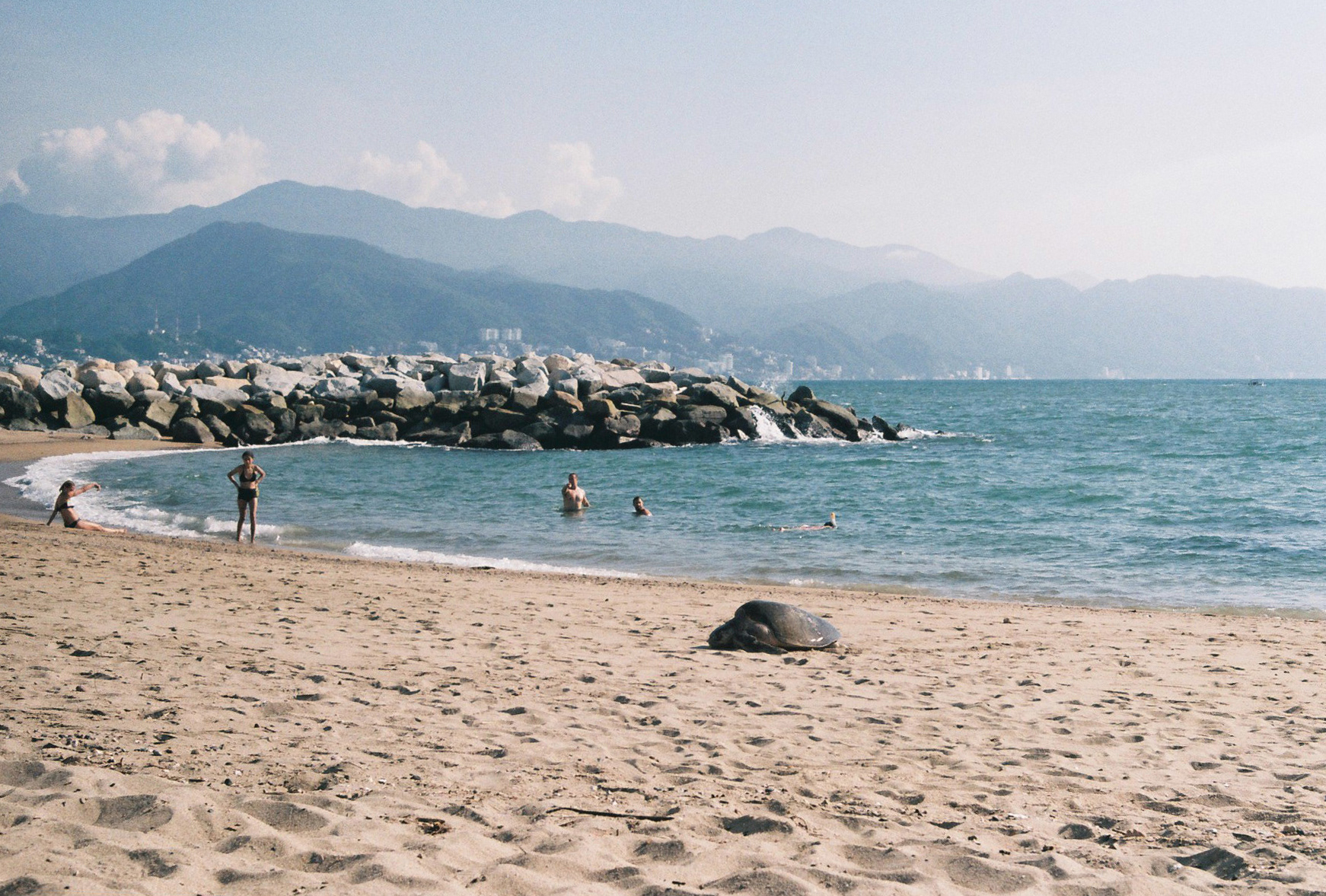 Vallarta, Jalisco, México.
