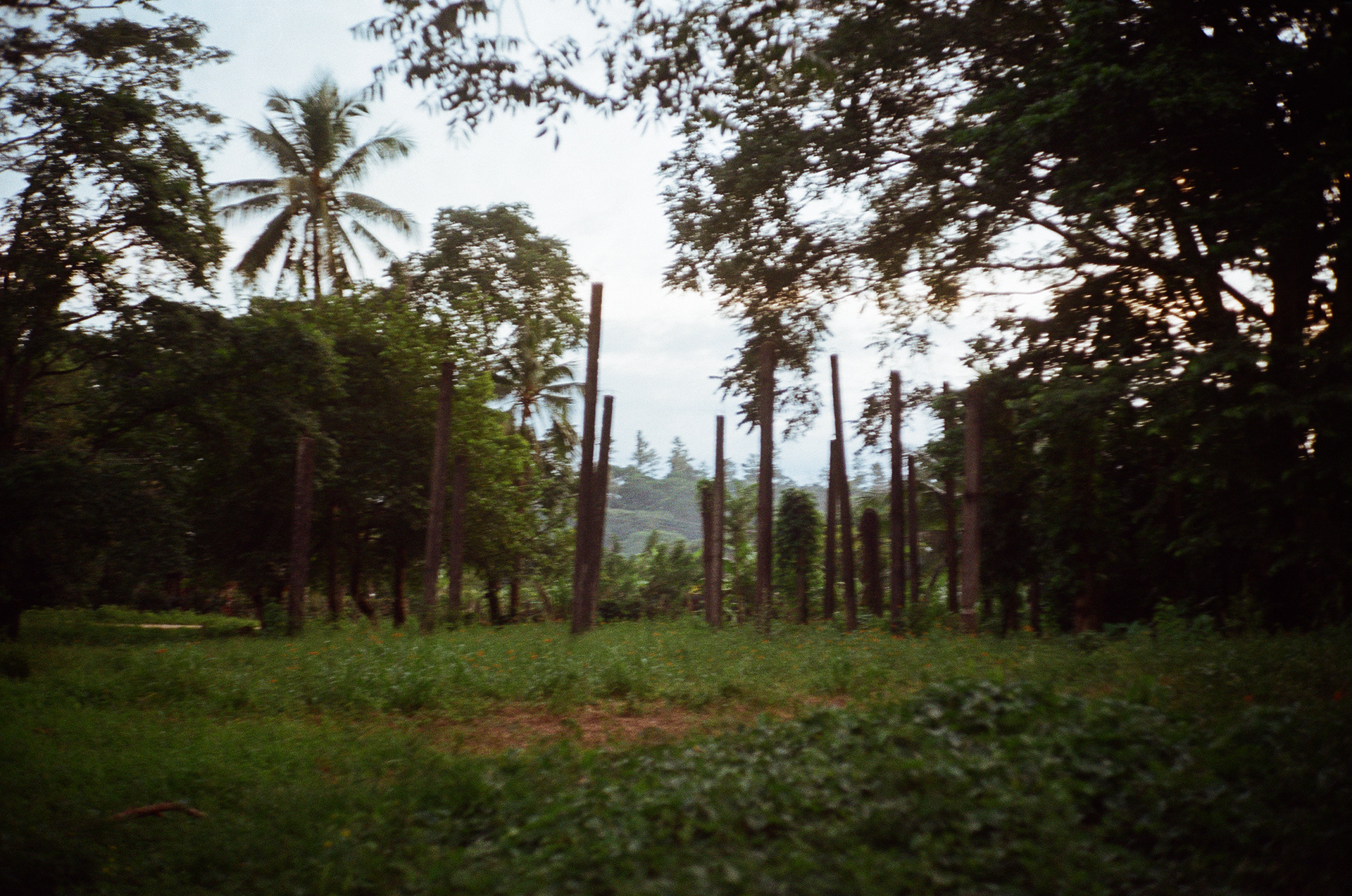 Jaltepec, Oaxaca, México.