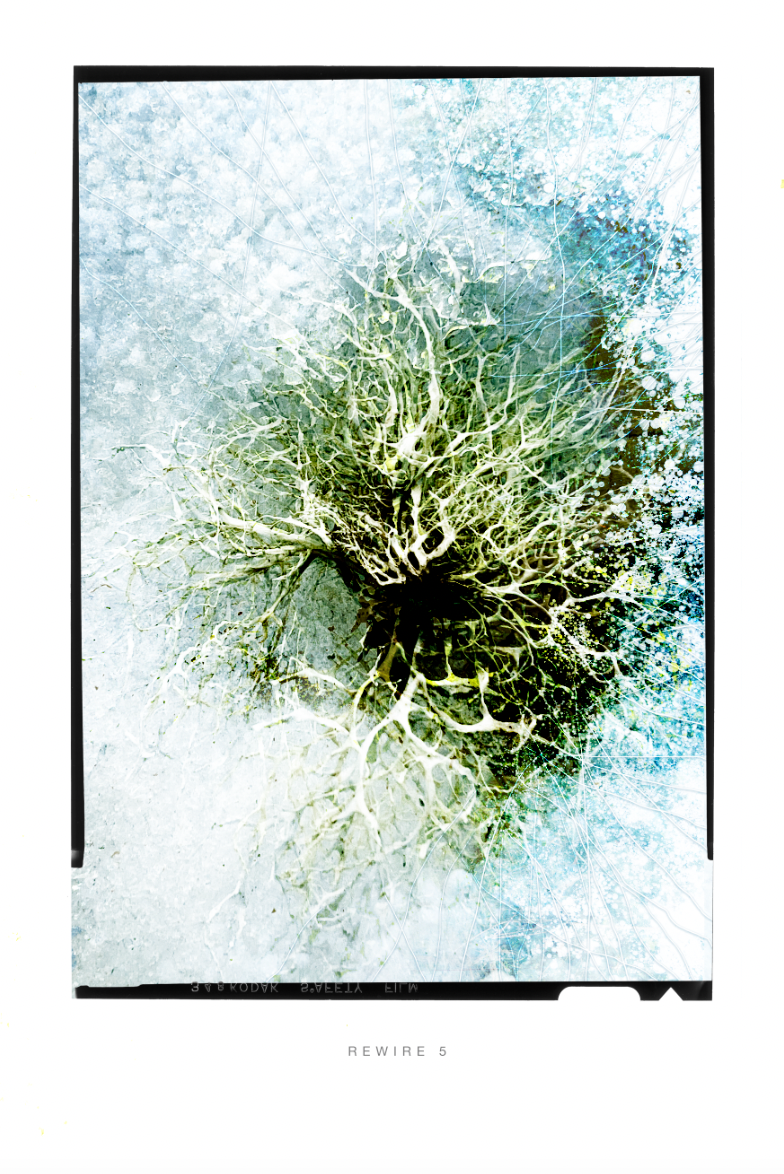 Rewire 5 - 2023 Digital Art 20" x 30" ©