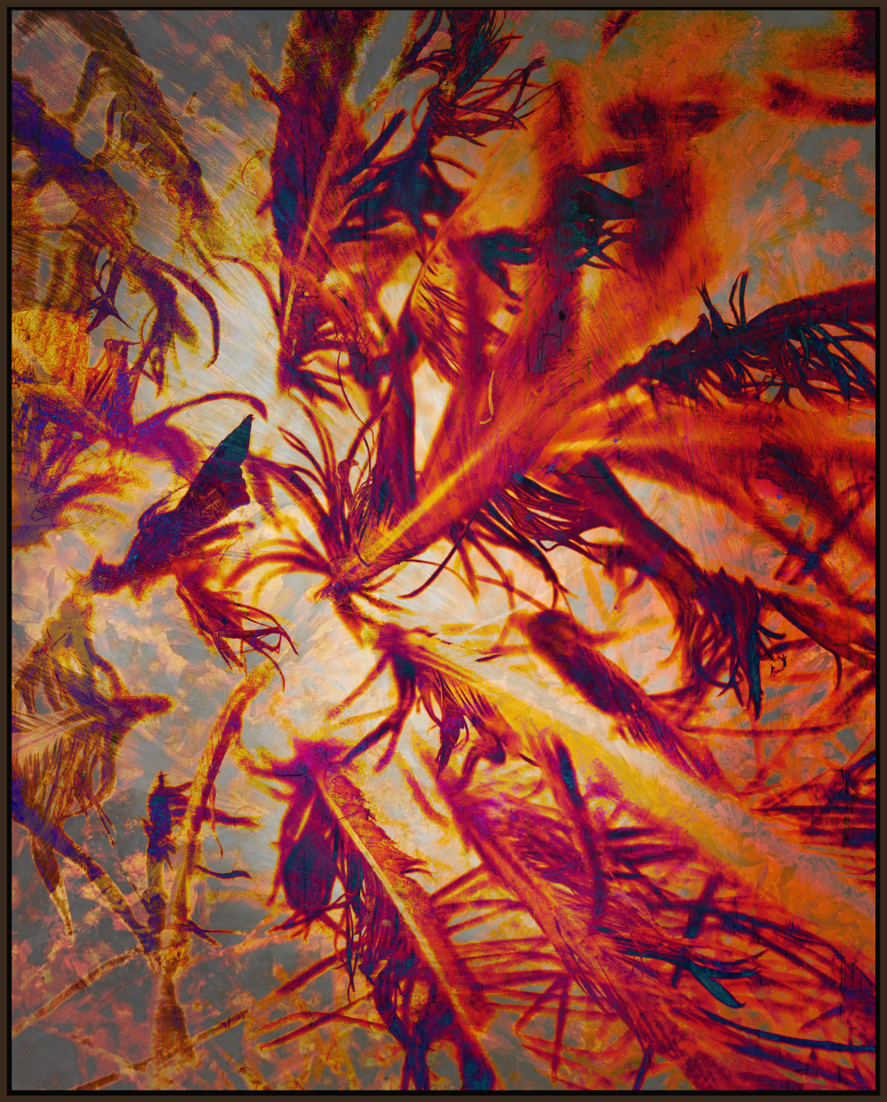 La danse du soleil 1 - 2022 - Digital Art - 32''x40" ©