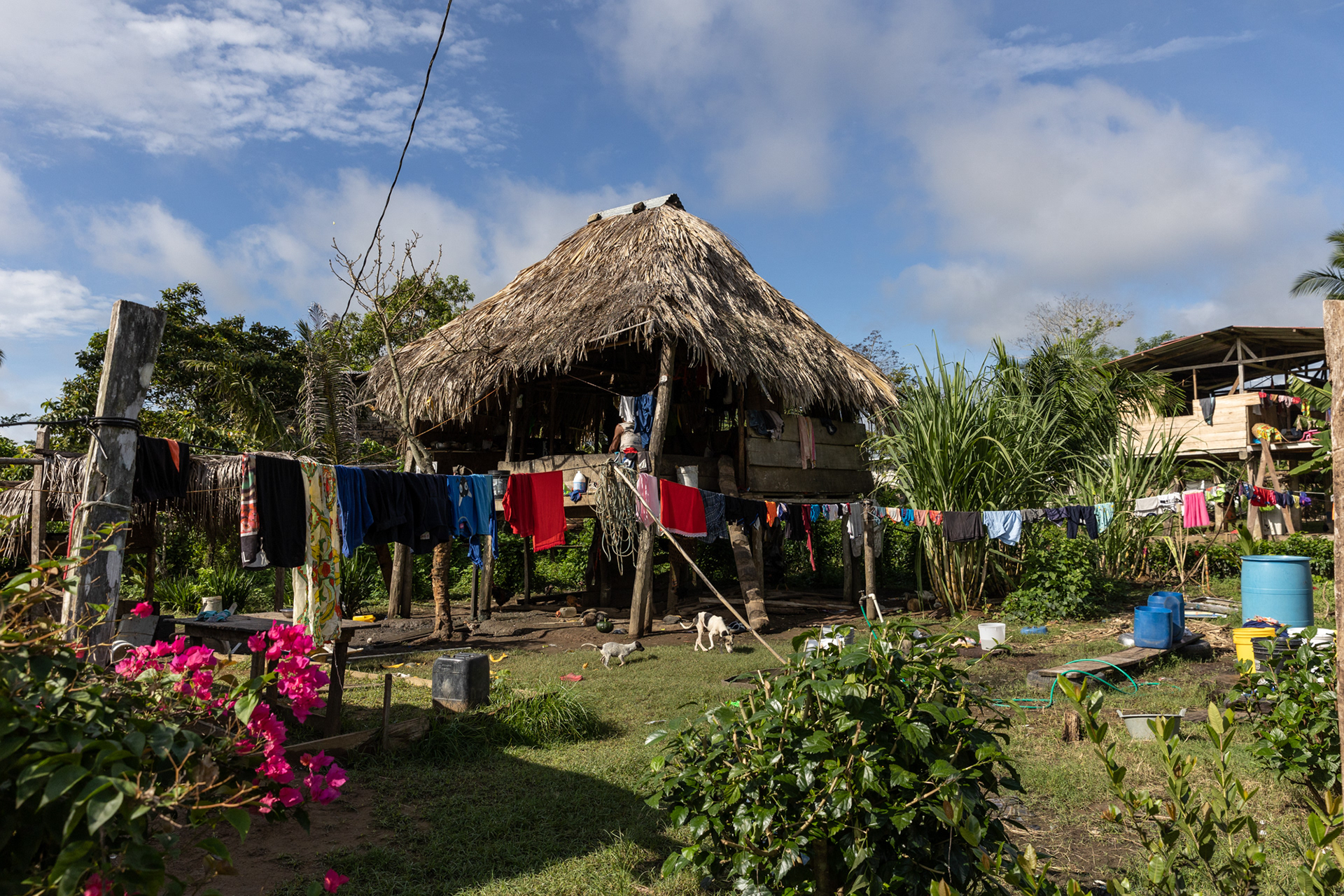 A traditional Emberá home made of wood and open space, slowly being replaced by concrete structures as businesses expand.