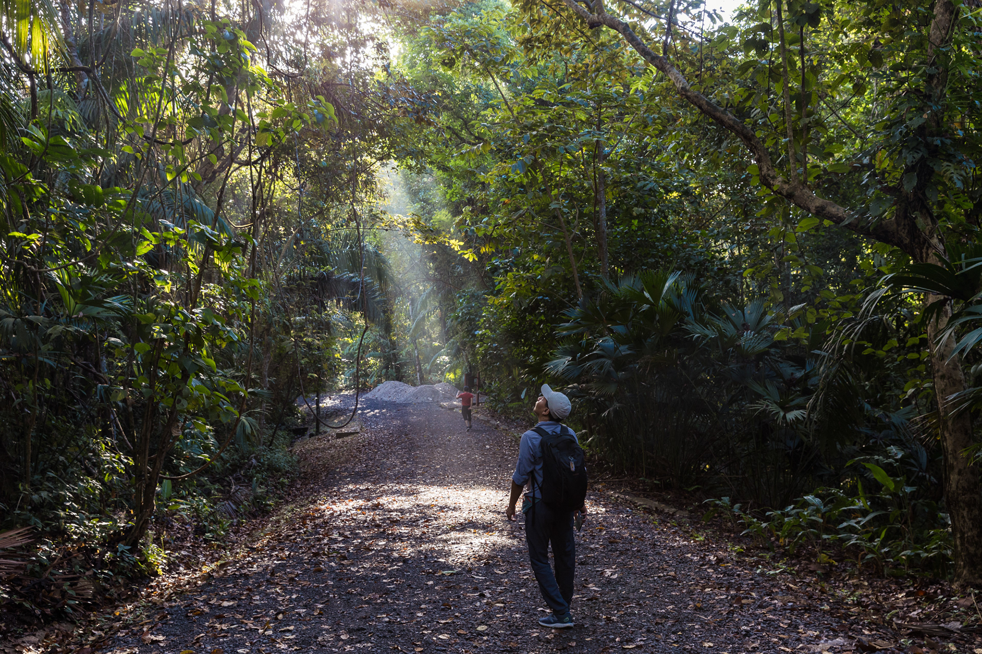 A peaceful walk through the Mono Tití Trail at Metropolitan Park, perfect for hiking, jogging, and birdwatching, all surrounded by nature in the heart of Panama City.