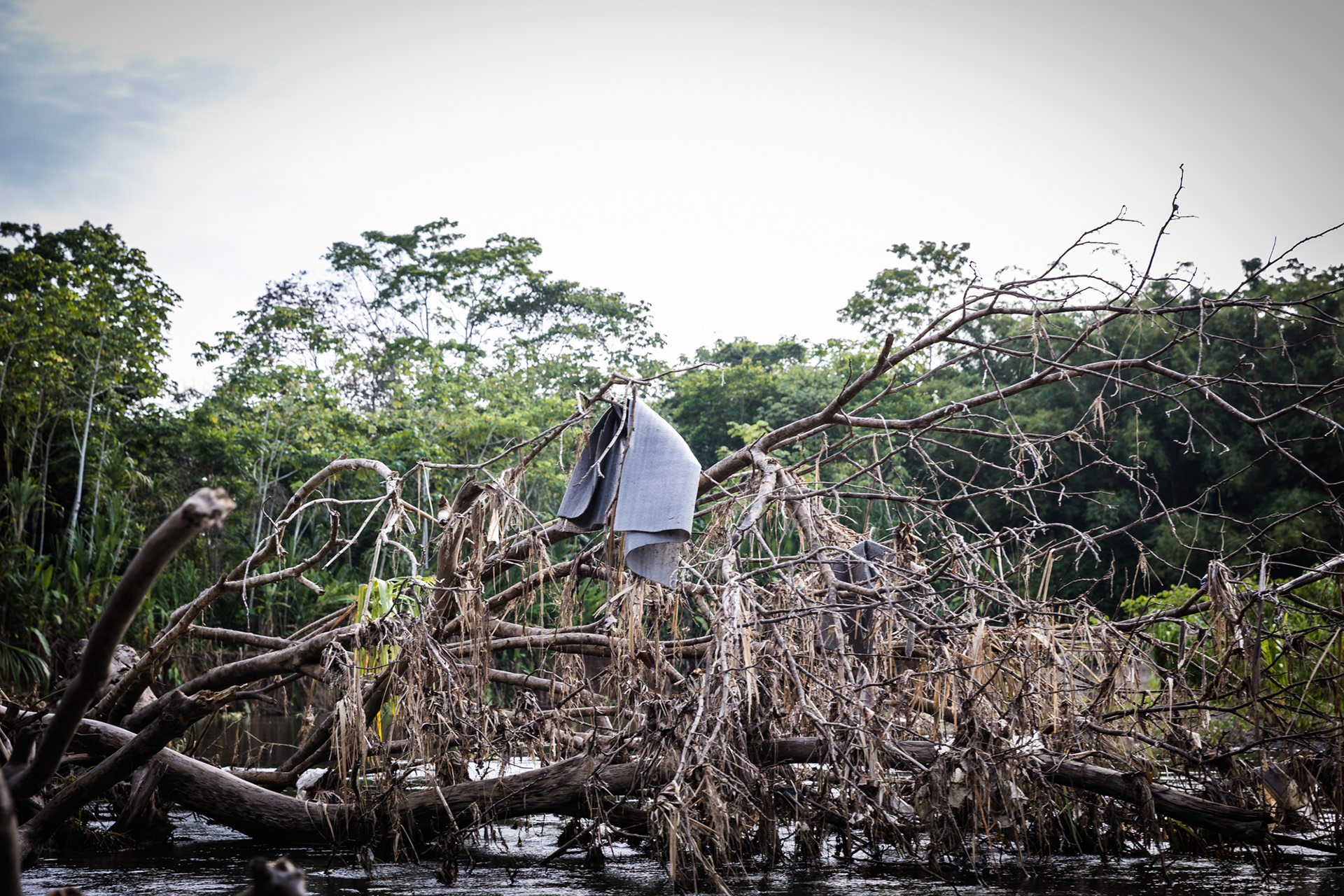 A foam mat tangled in branches of a fallen tree, part of the debris left behind by migrants in the Darién waters.