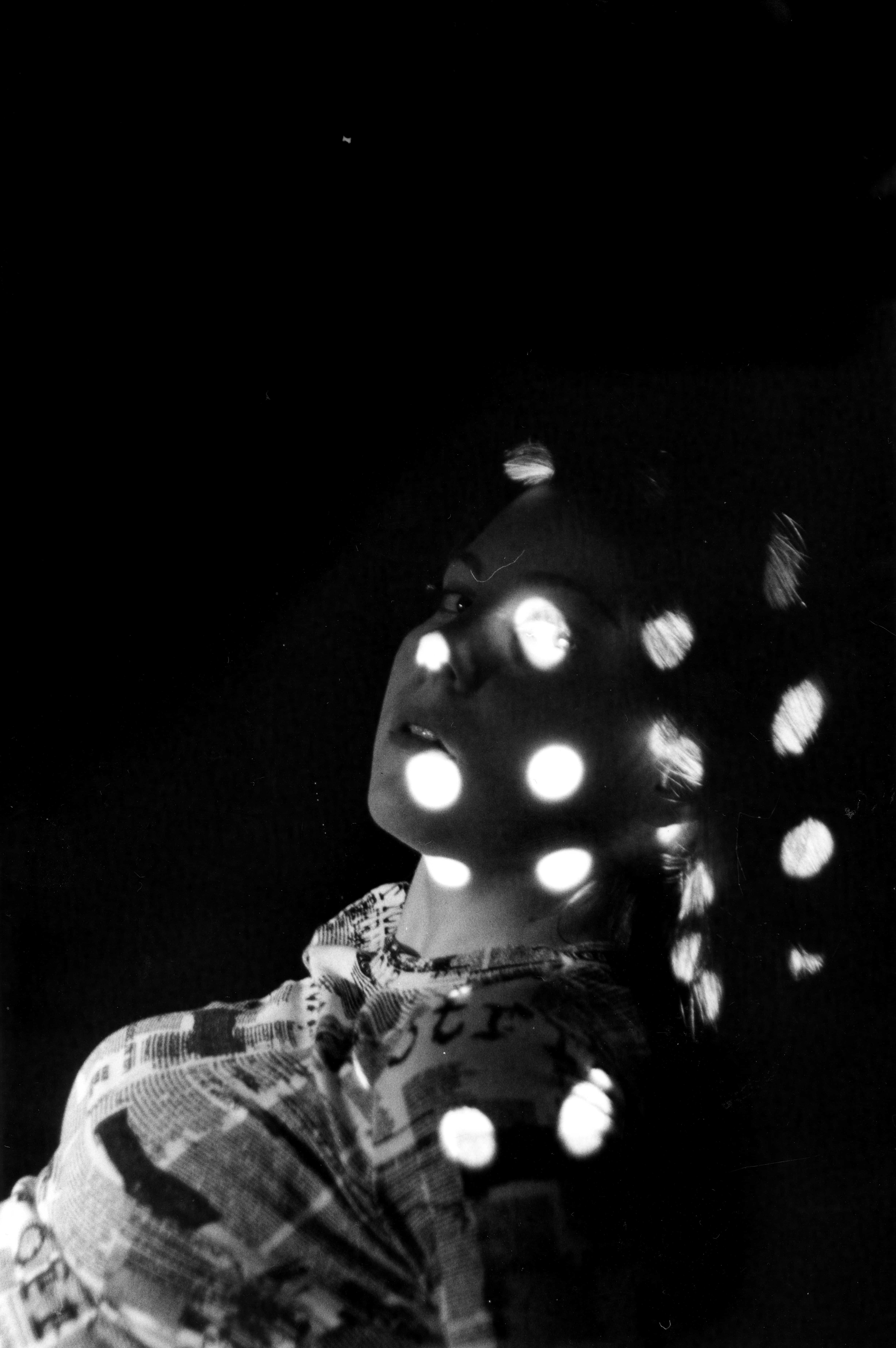 Back and White Ladybug