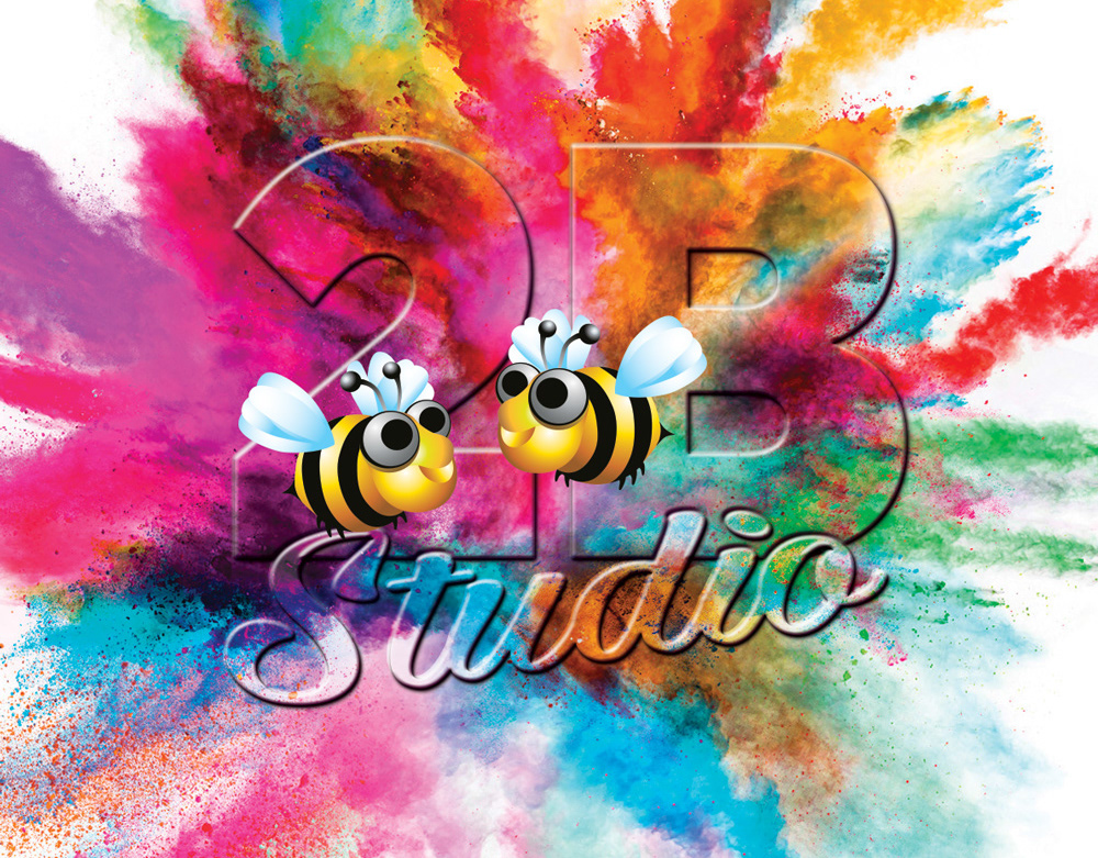 2B Studio