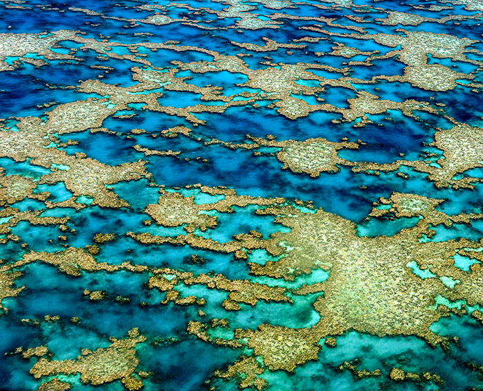 An aerial landscape view from a chartered seaplane by photographer Markham Lane was captured in 2009 and submitted in the 2012 Google Plus Aerial Photography Competition moderated by Art Wolfe. The image was voted by the public into the 7th position worldwide, and placed tenth overall after moderation.