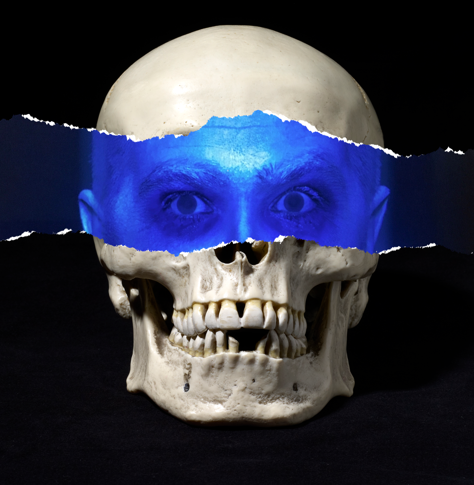 Spectrophilia album cover artwork.