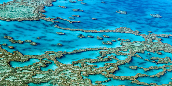 An aerial landscape view from a chartered seaplane over Lassiter's Reef in the Great Barrier Reef National Park east of the Whitsunday Islands, as shot by photographer Markham Lane.