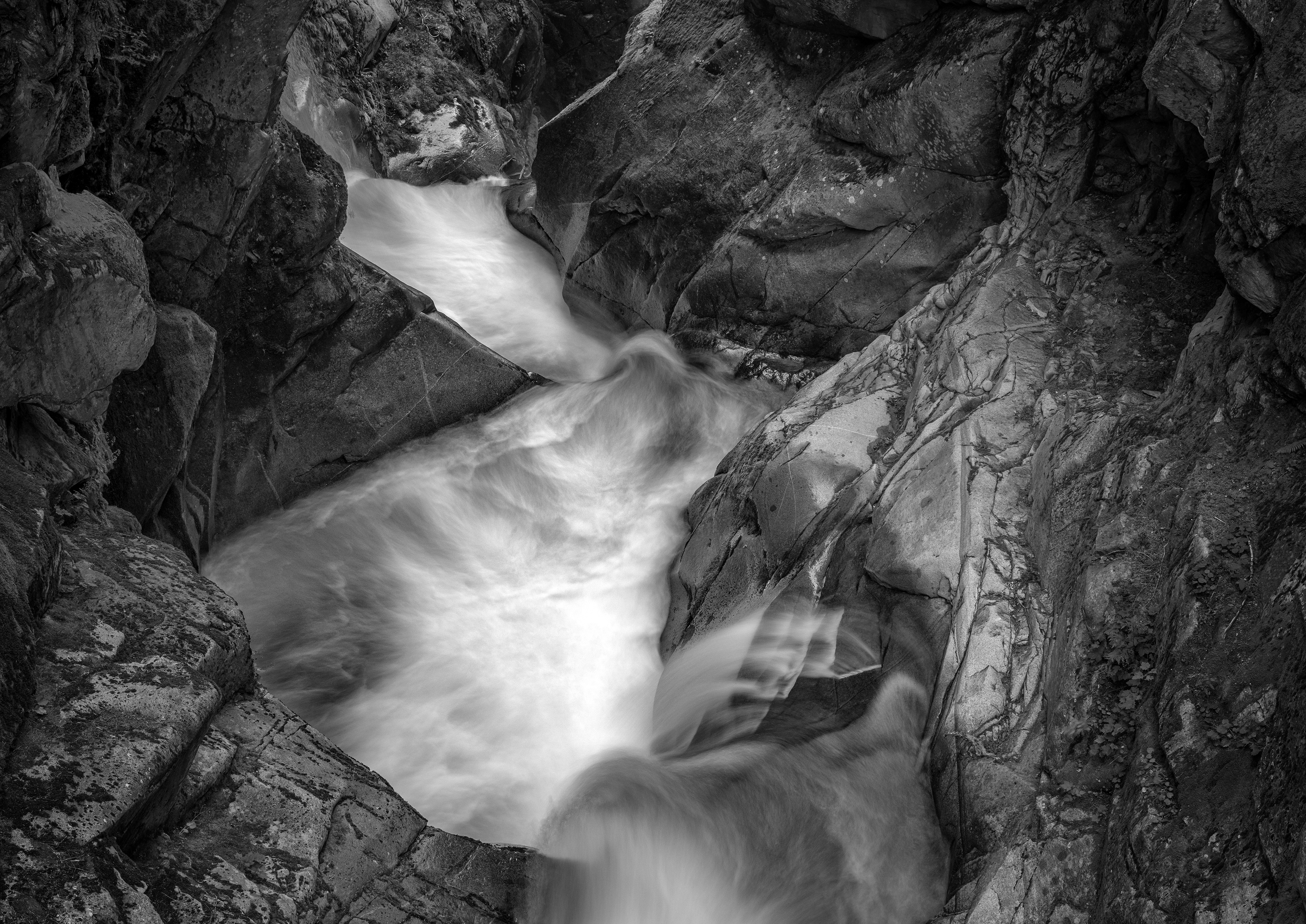 Through The Carved Path