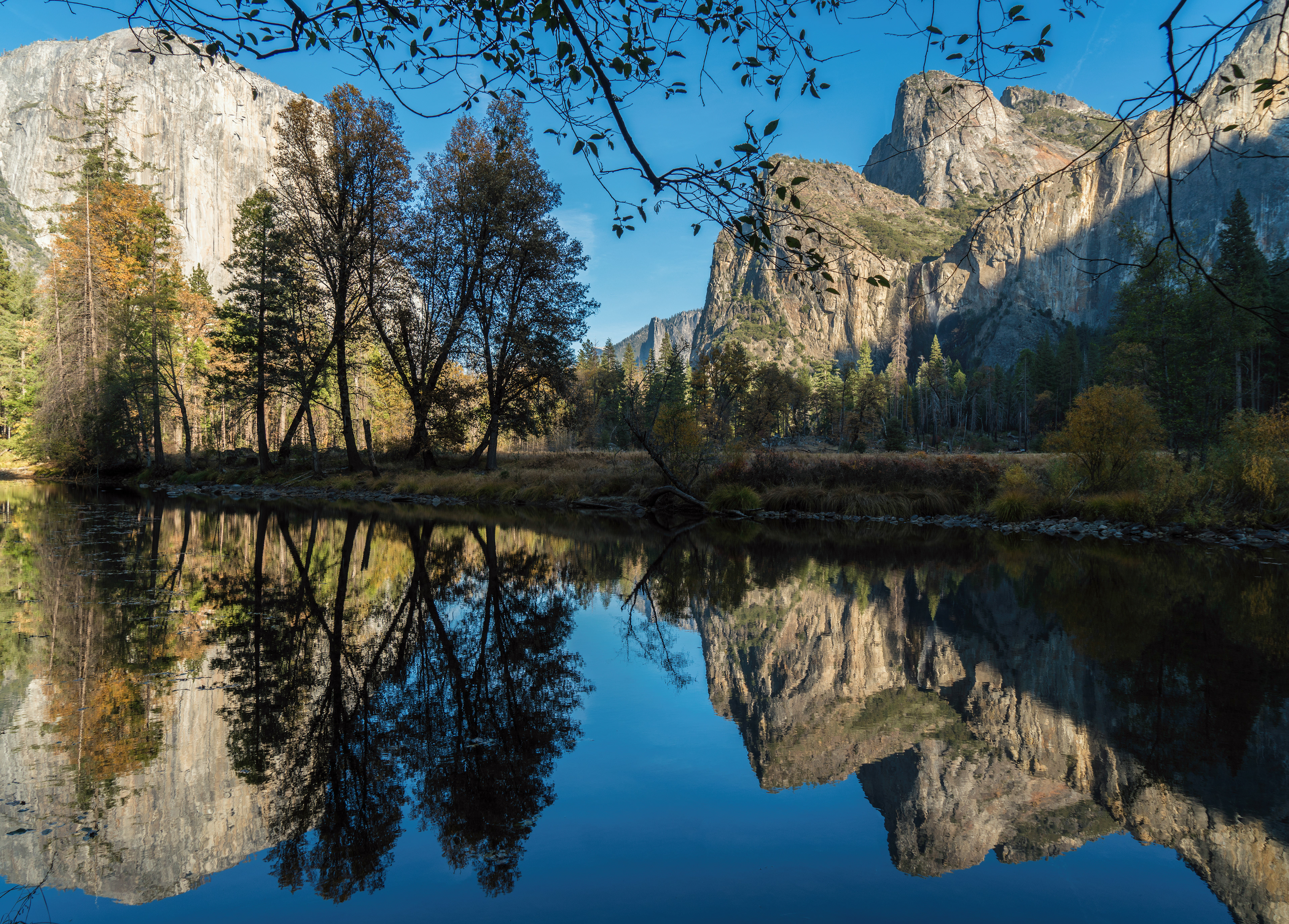 Merced River Reflections