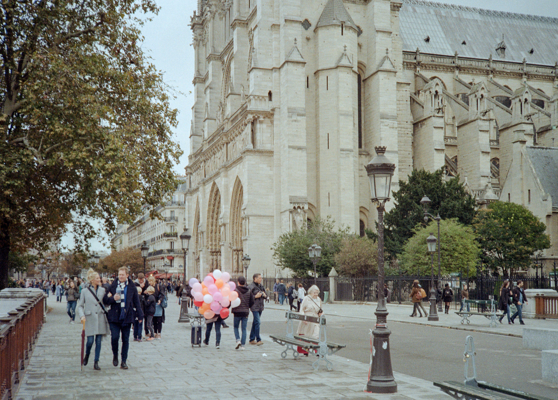 Pink Baloons
