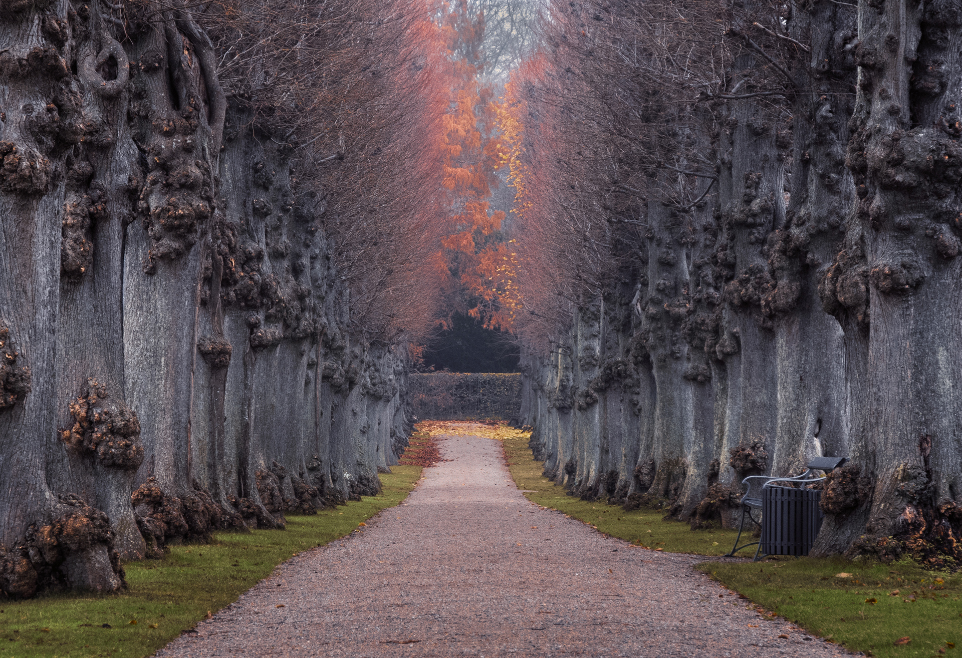 Nothing Gold Can Stay