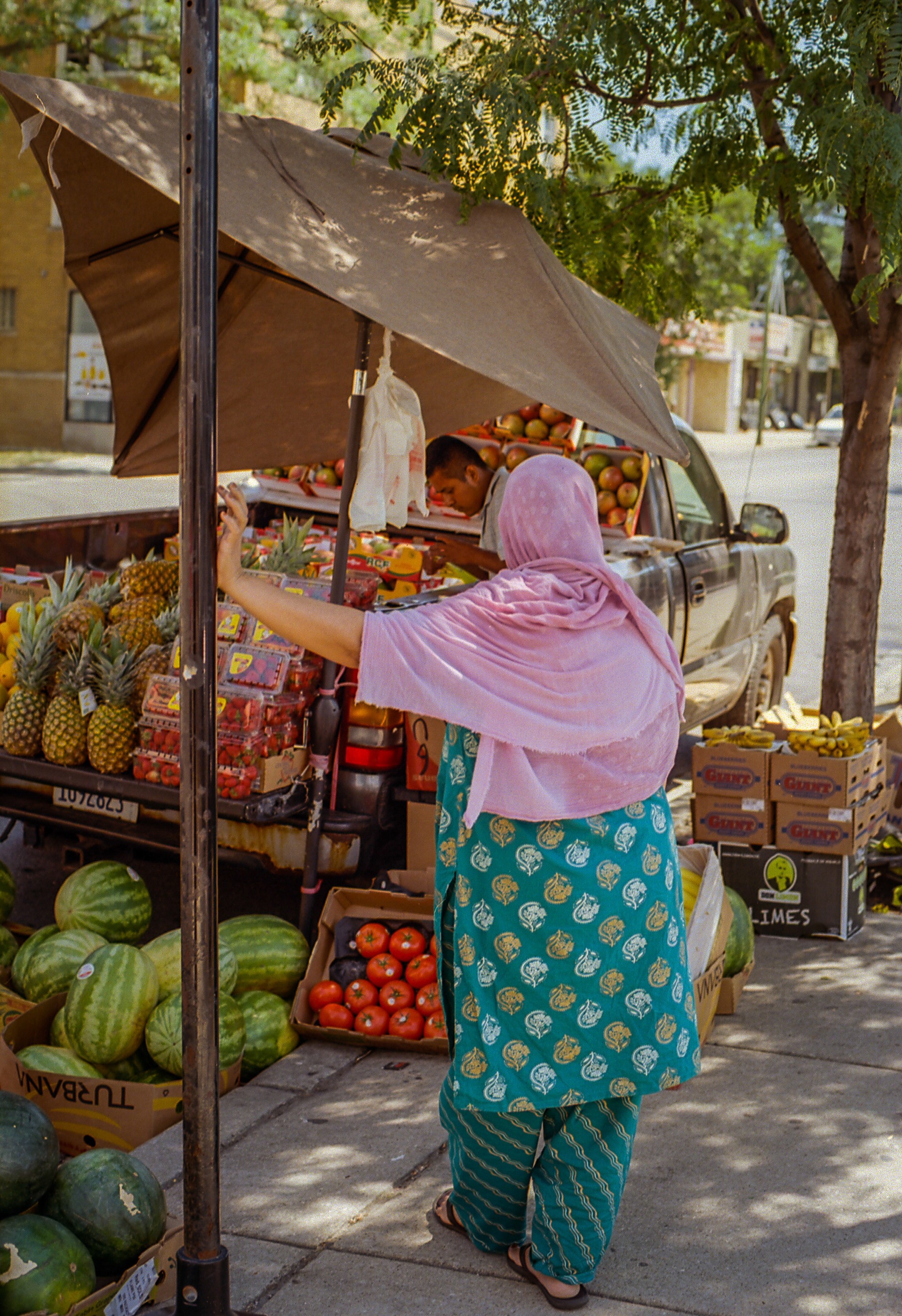 Fruits for All