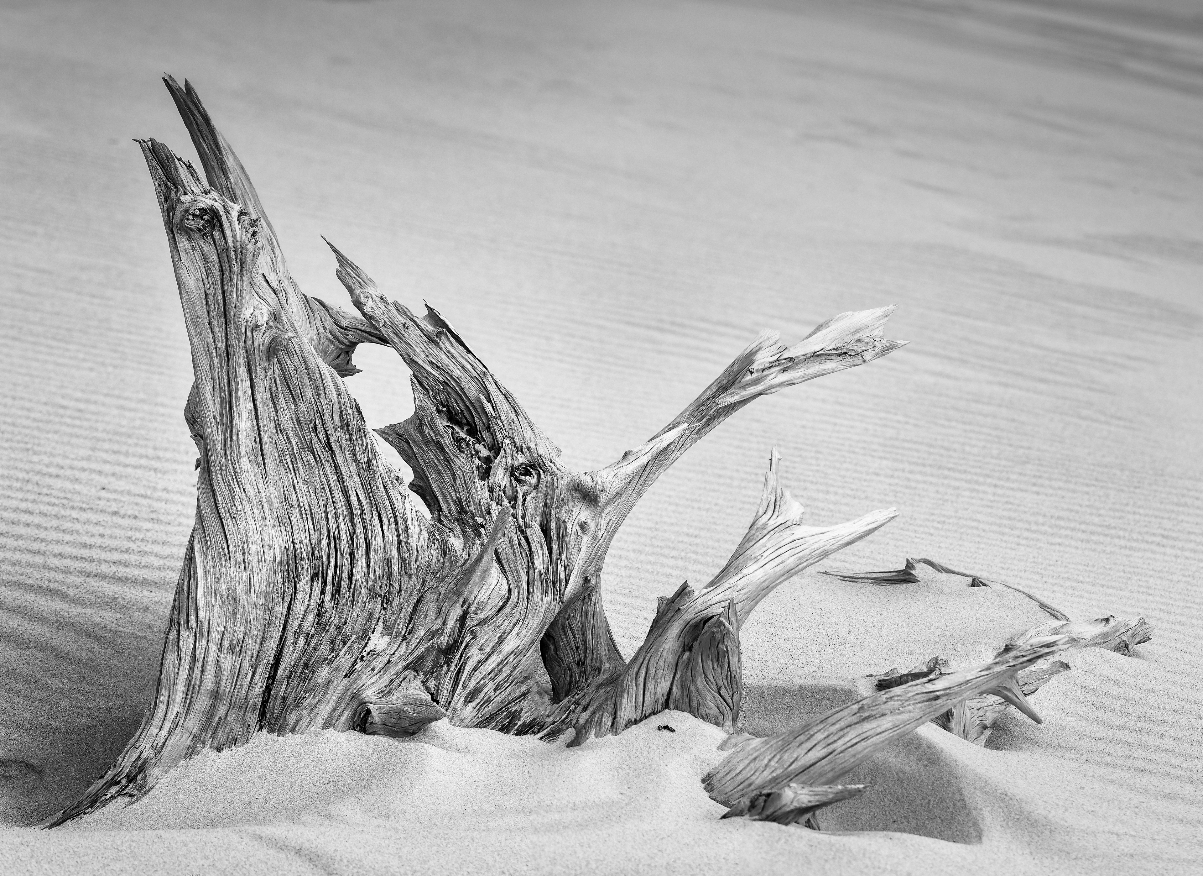 Textured Remanent