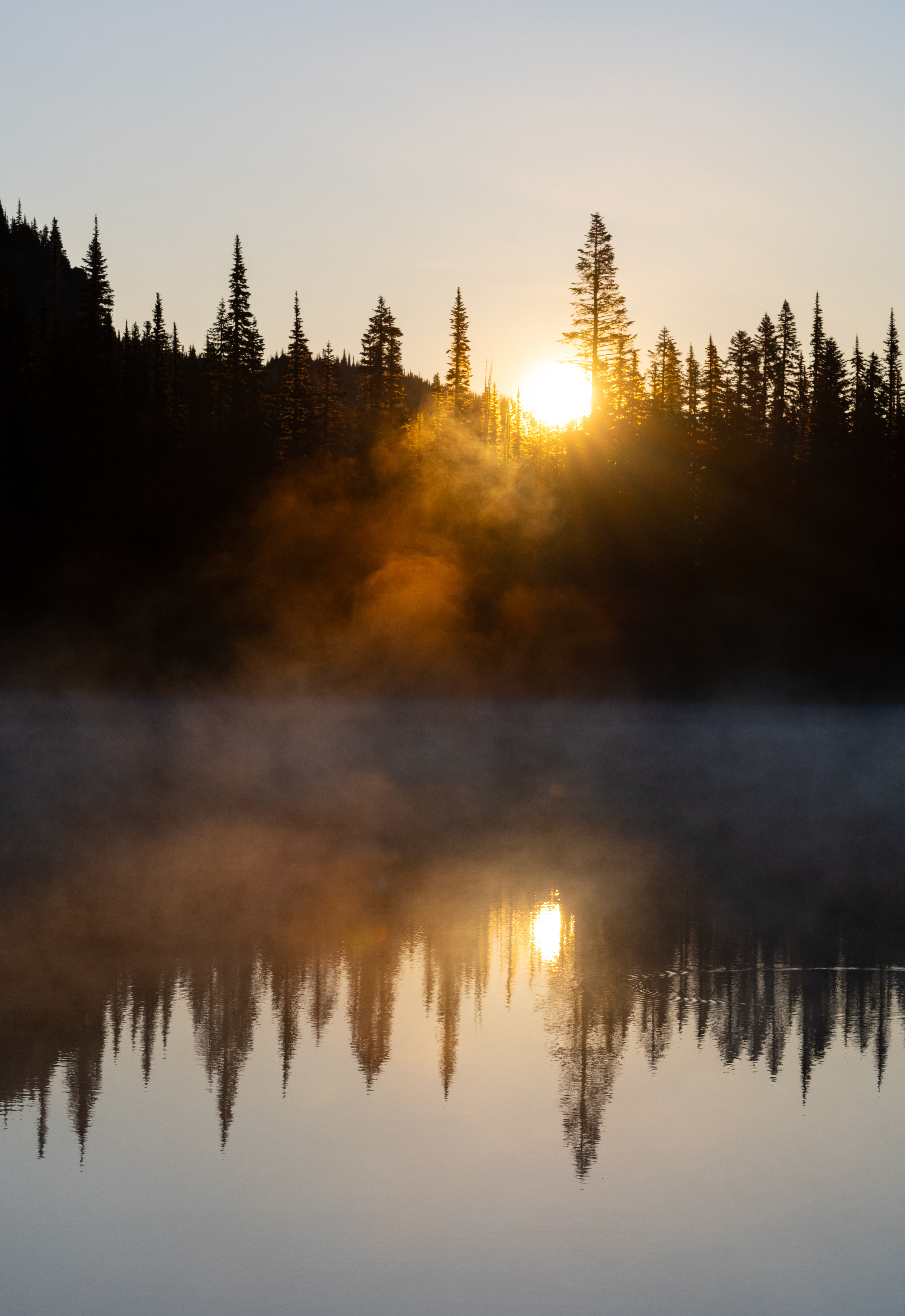 Morning Mist