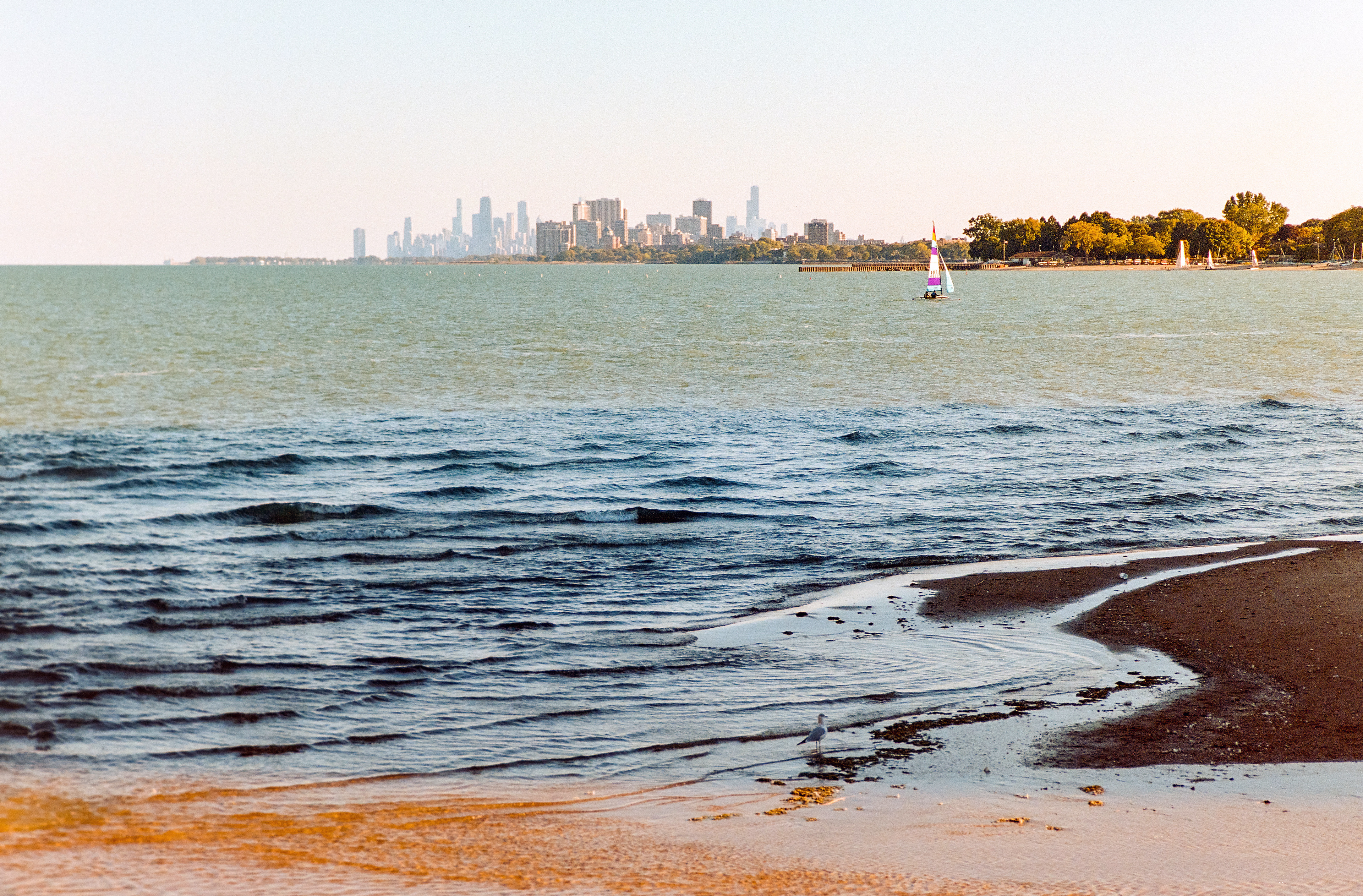 Northwestern Perspective