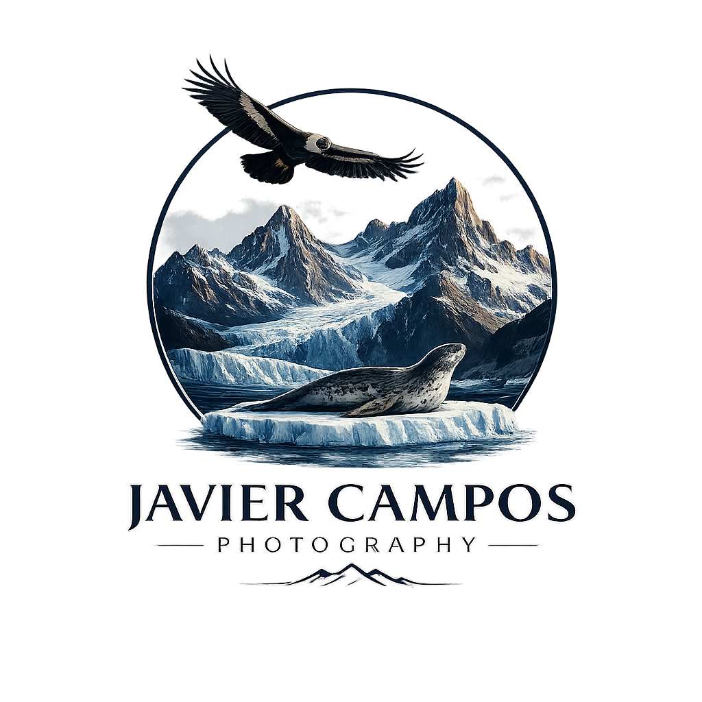 javier campos
