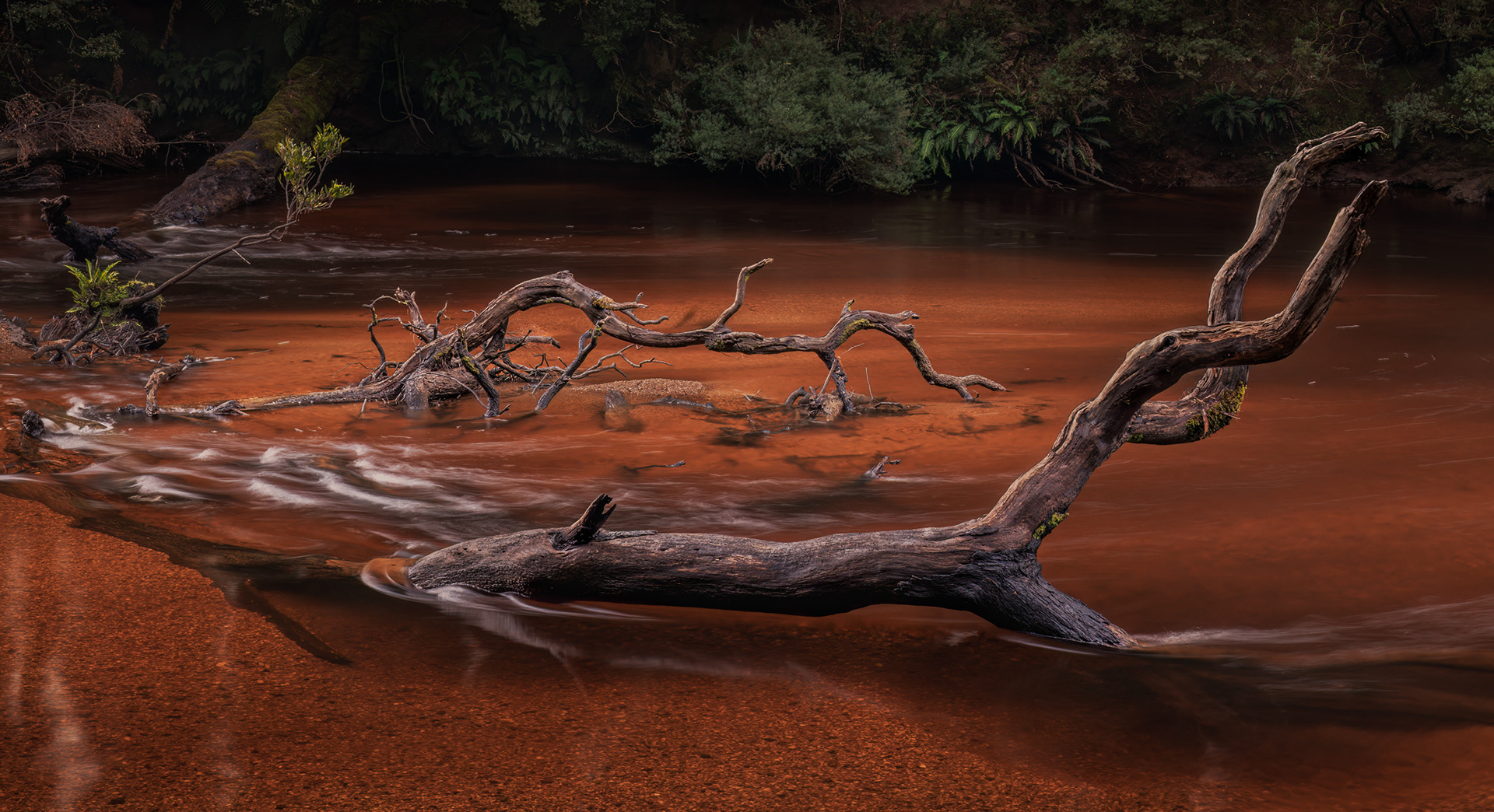 Resting in the Flow - Tarkine - TAS, Australia
