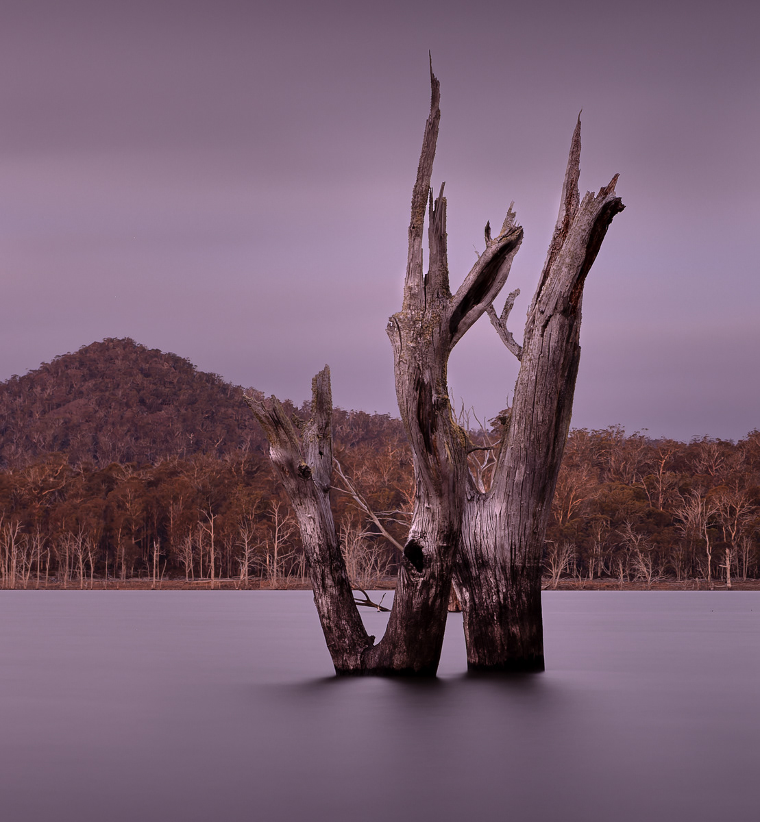 Arthur Lake - TAS, Australia