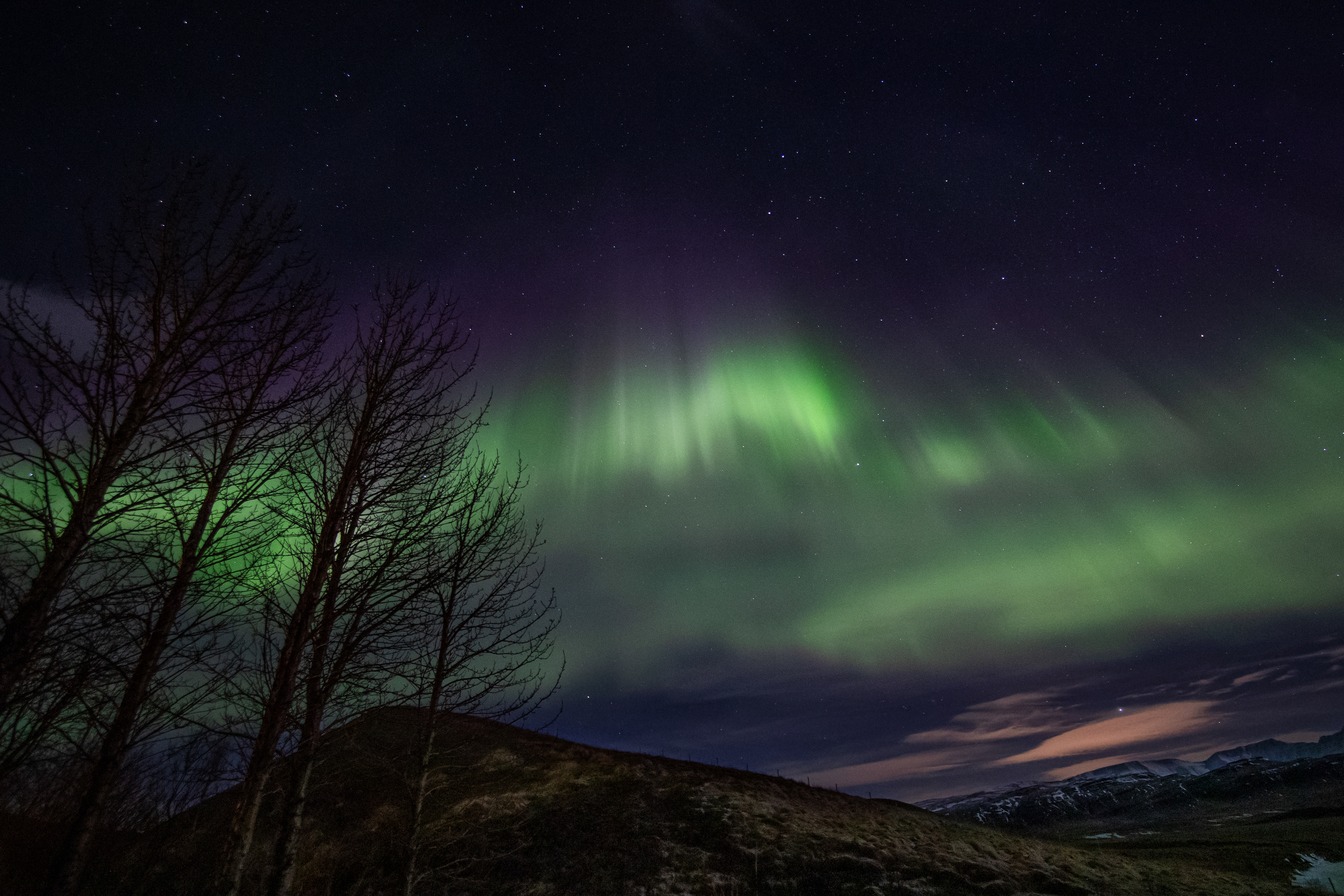Iceland 2020