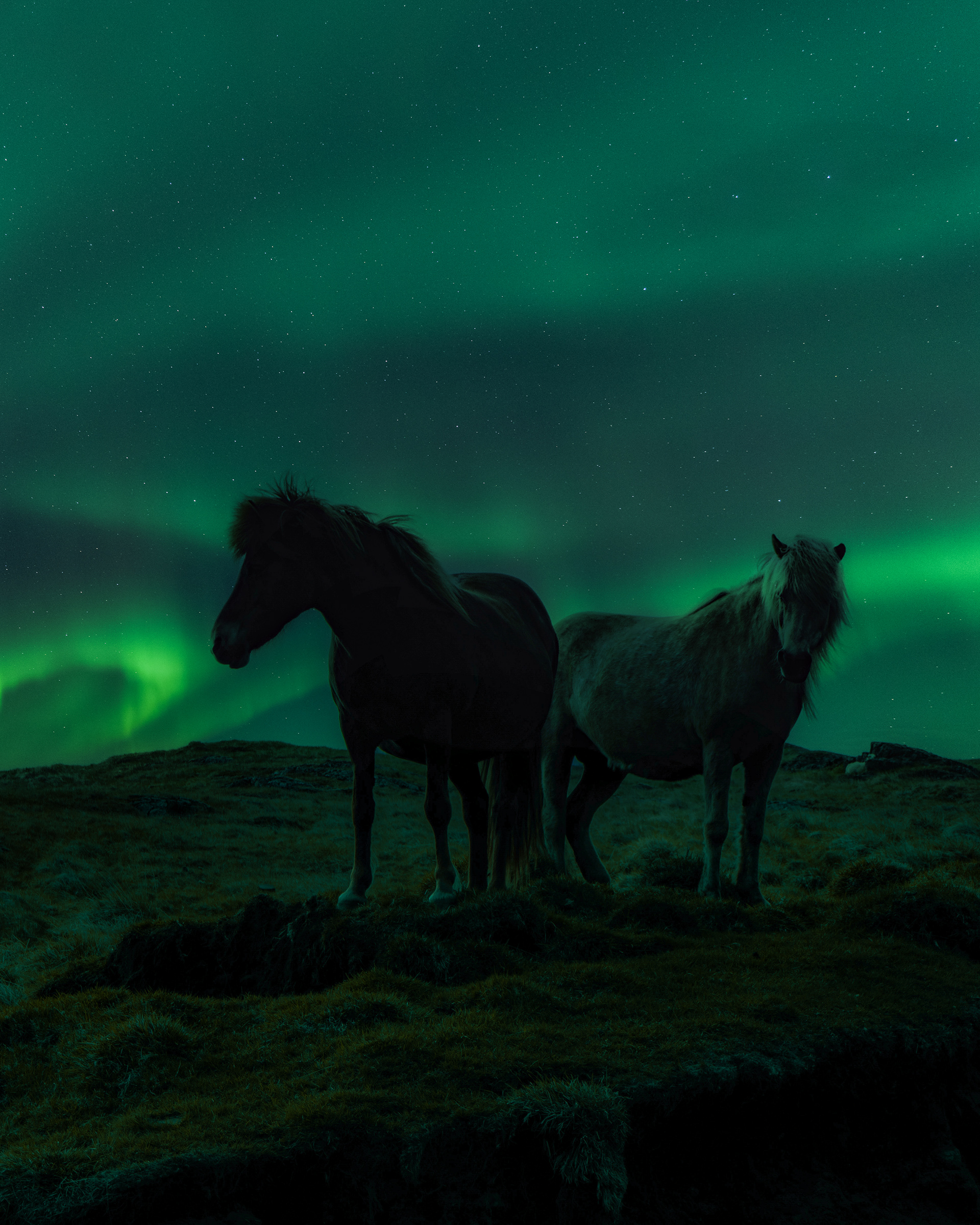 Iceland 2021