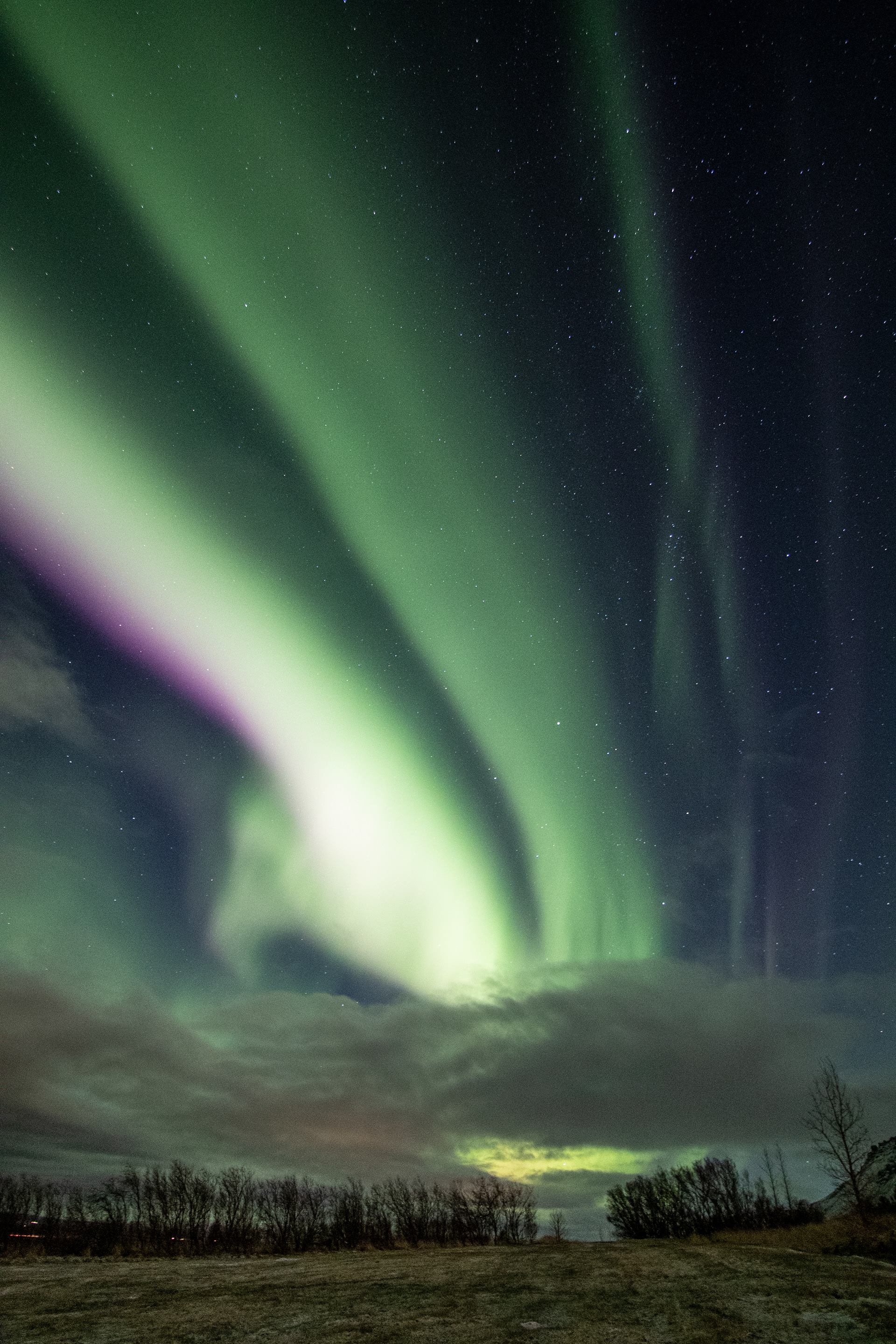 Iceland 2019