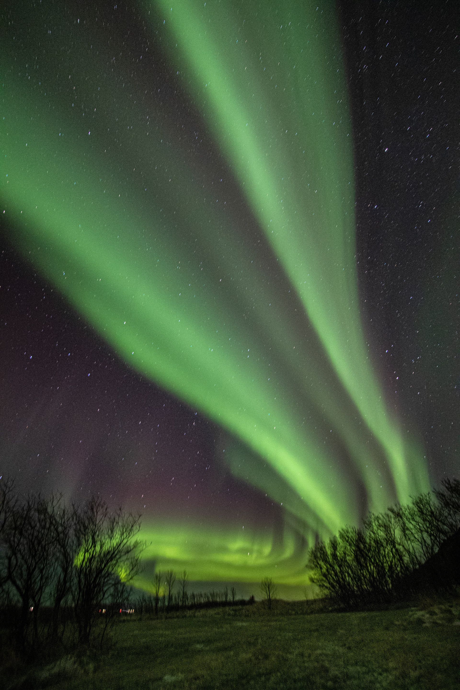 Iceland 2020