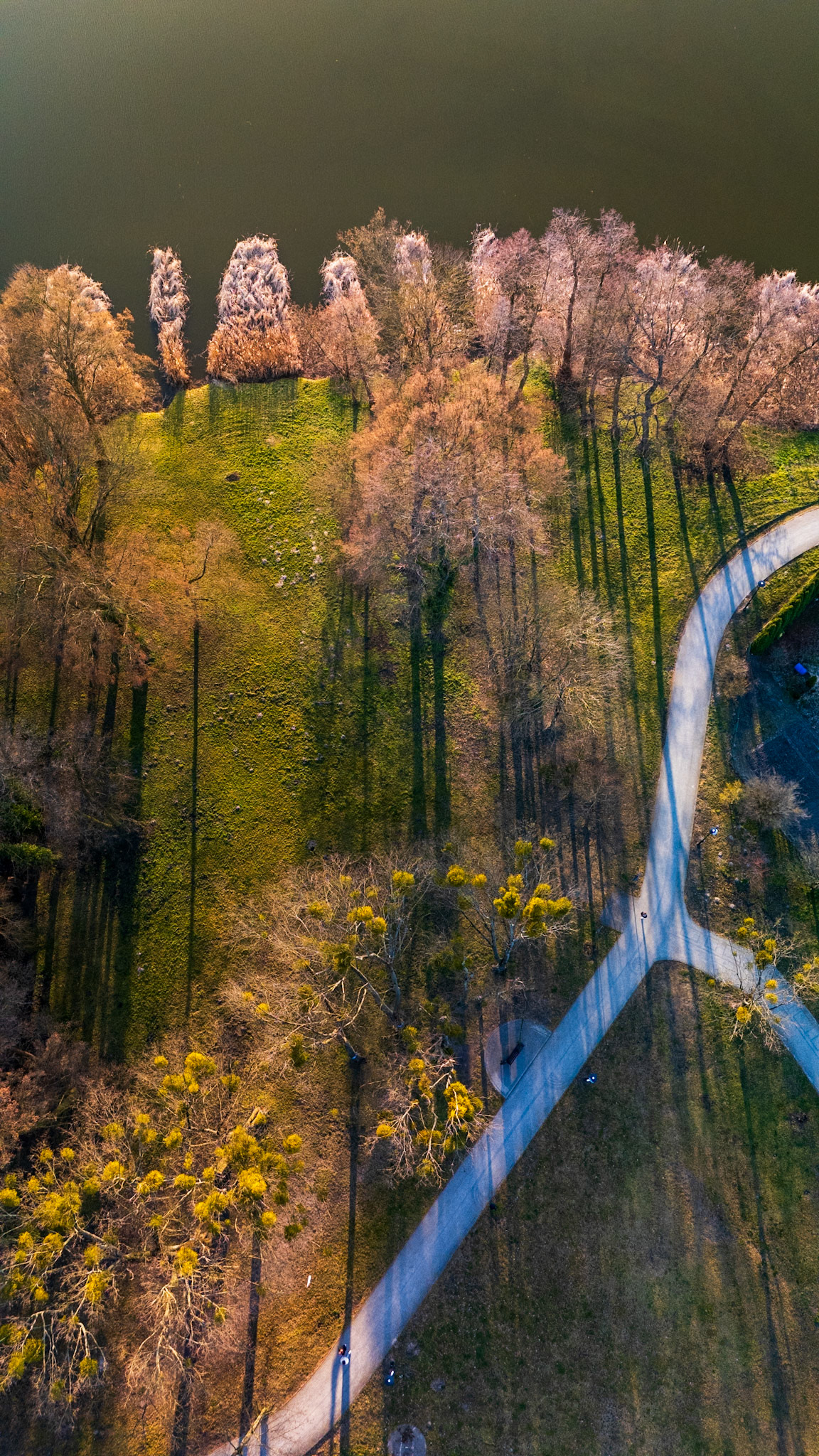 Ławeczka Wisławy Szymborskiej na promenadzie w Kórniku