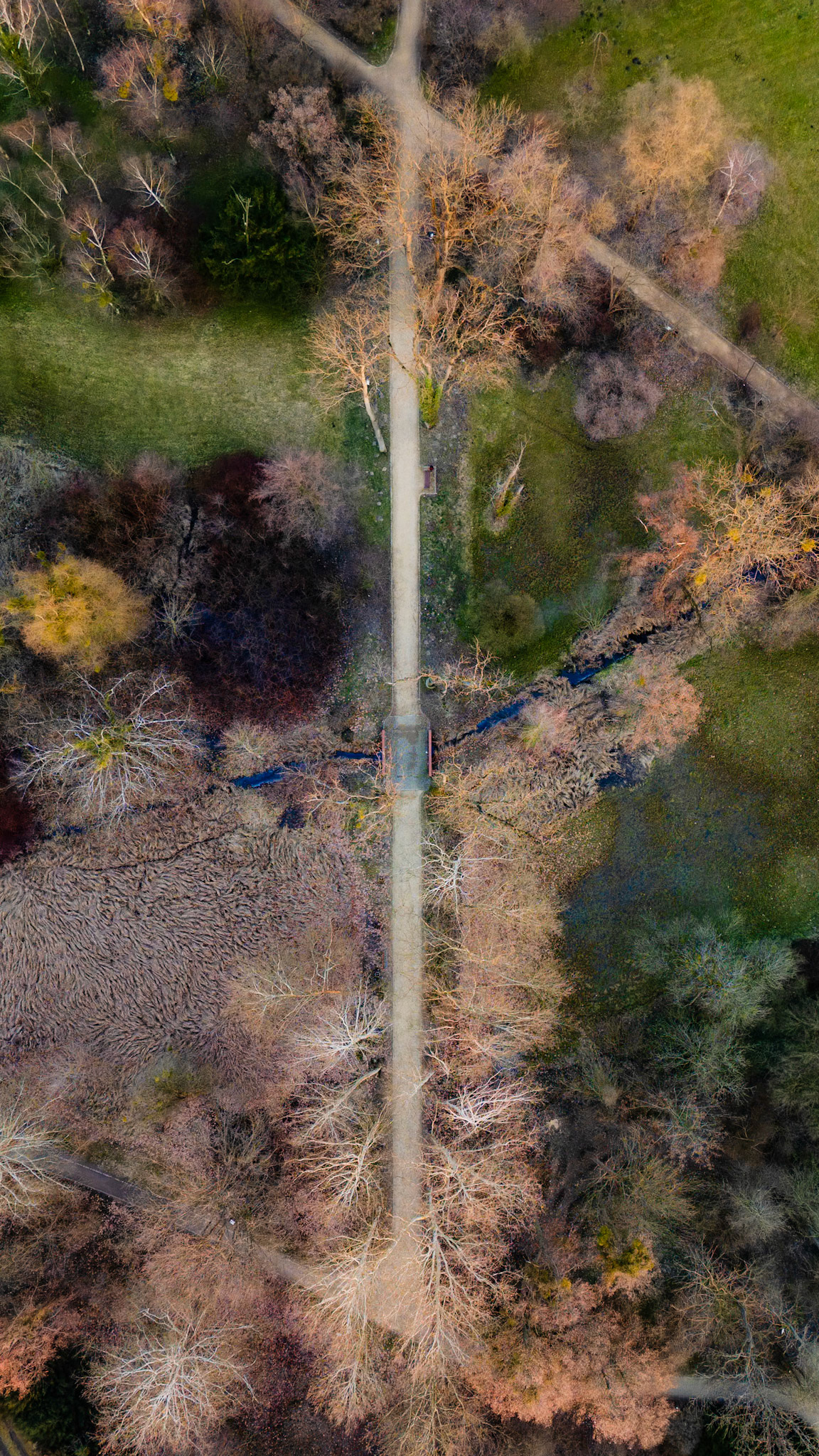 Arboretum w Kórniku