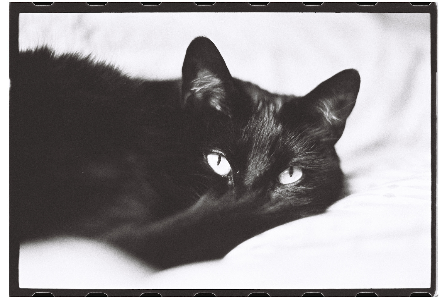 "Franklin"- Biddeford, ME