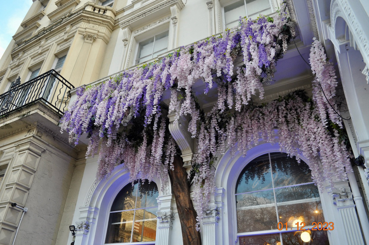 "Lavender and Cream"- London, England